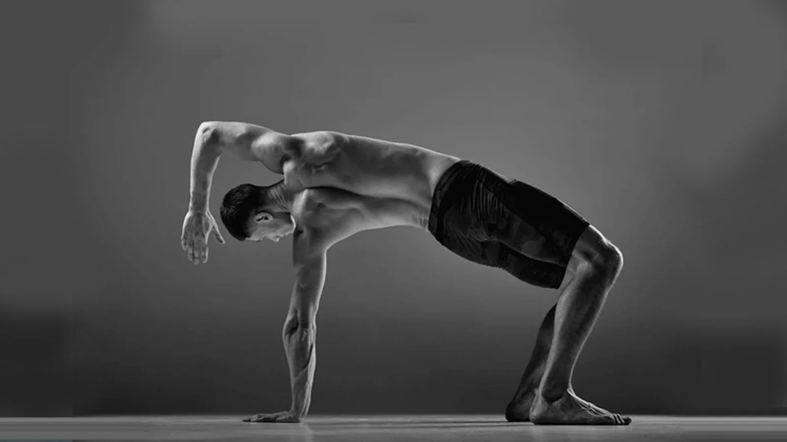 Animal Flow L1 Workshop