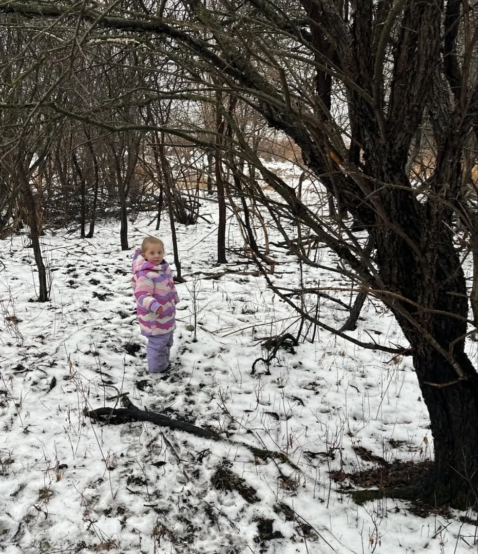 A young girl in a colorful striped winter jacket standing in snow-covered woods with bare trees and branches.