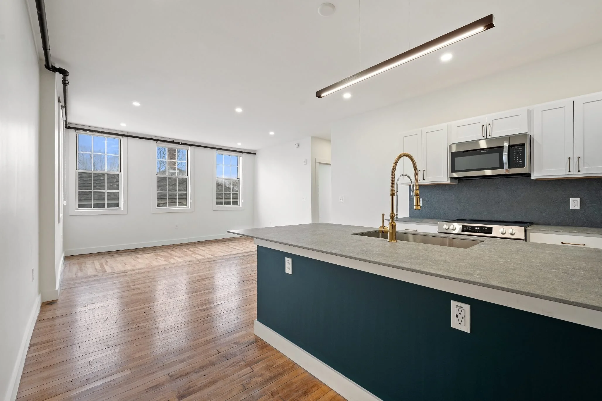 023-Apt 202.jpg