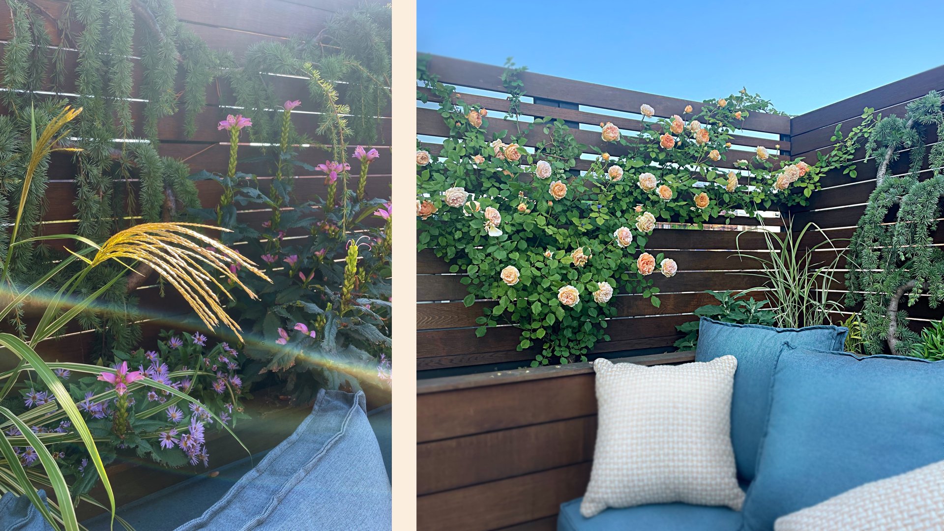 OutdoorHabitat_Secluded Terrace2_1080.jpg