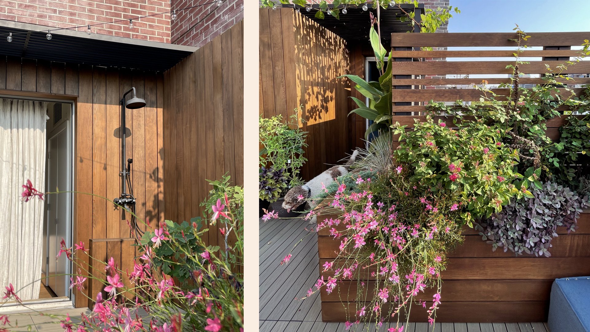 OutdoorHabitat_Secluded Terrace3_1080.jpg