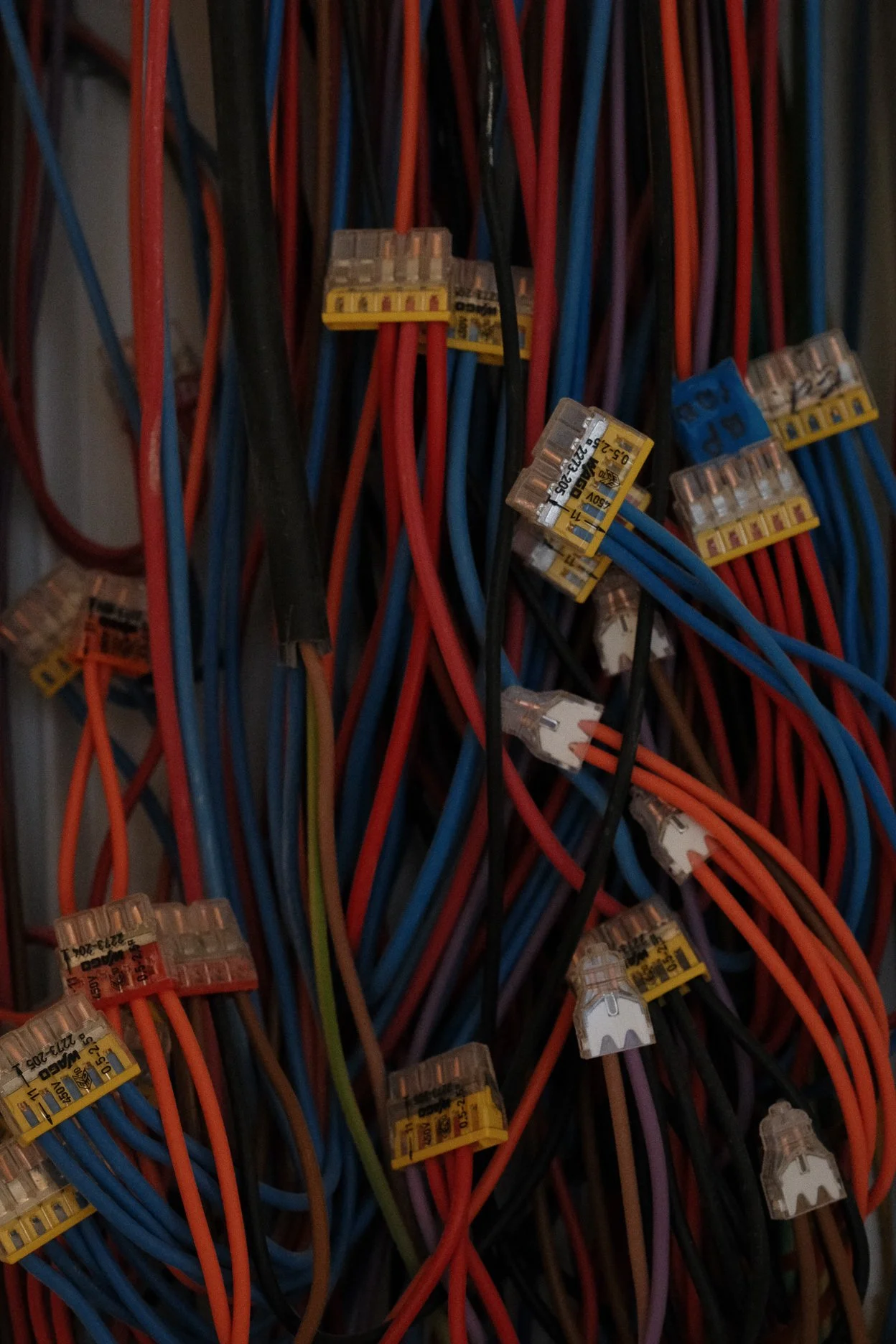 DSCF2349-low def.jpg