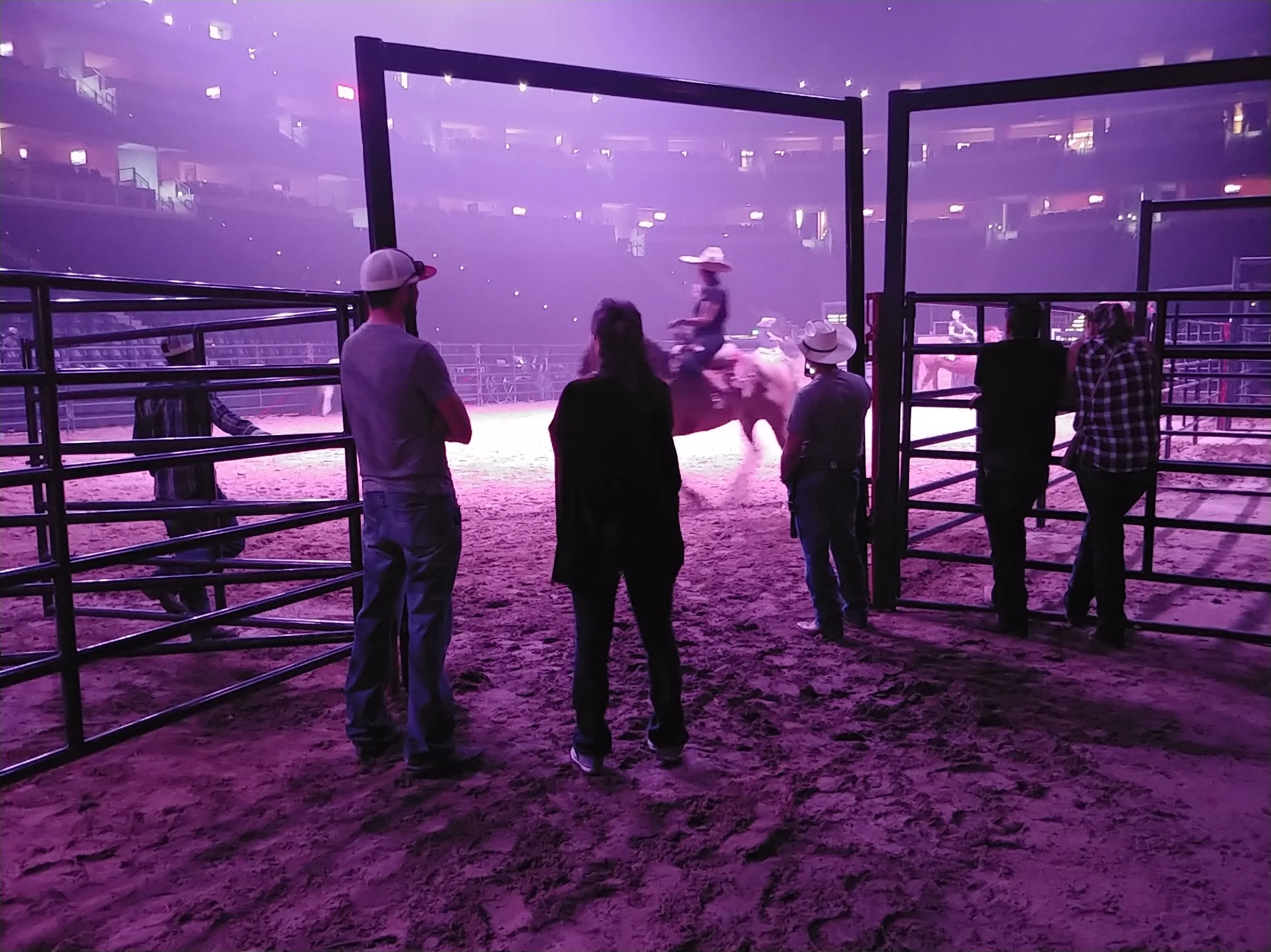 People watching a rodeo event featuring a rider on a bucking horse under purple lighting.