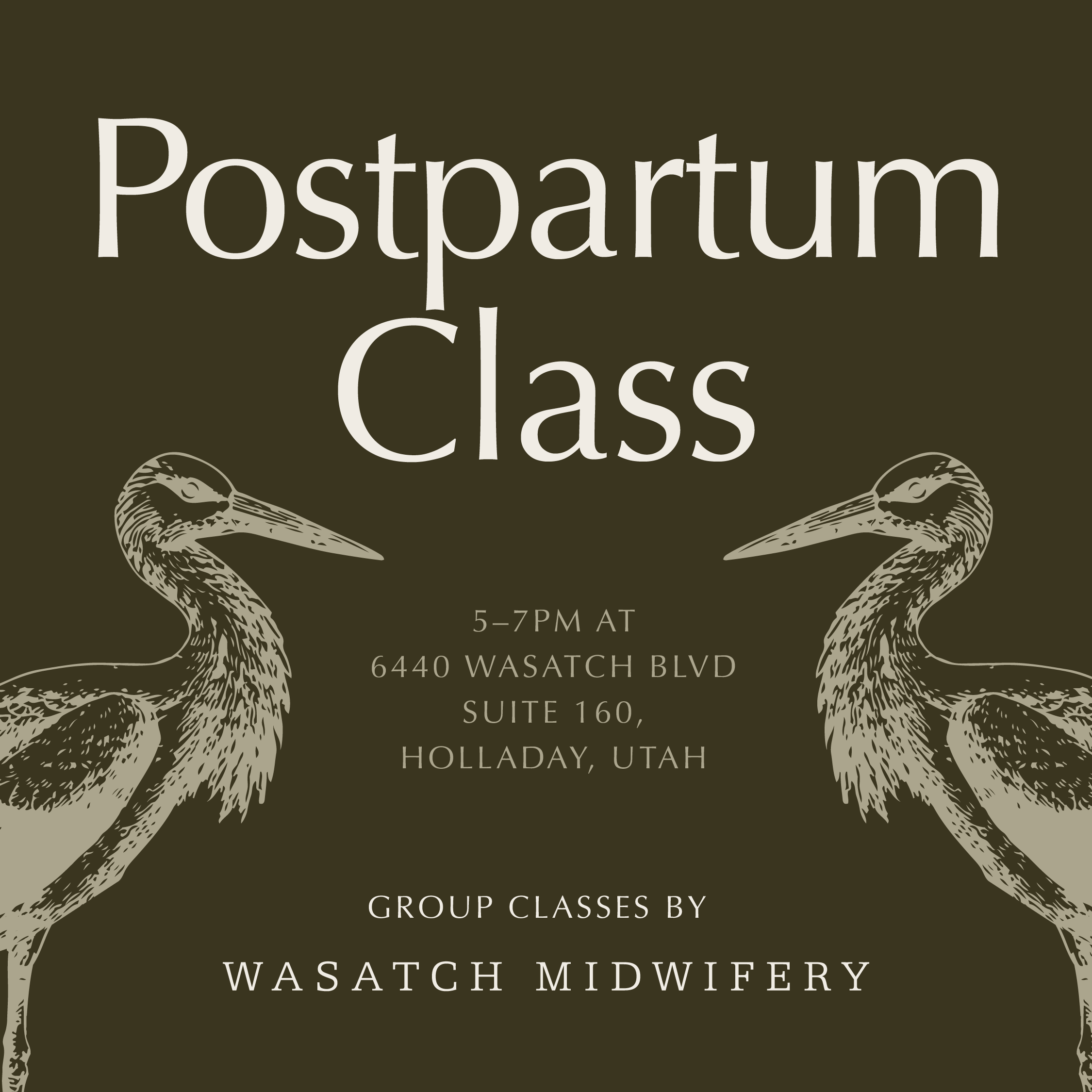 Postpartum Group Class