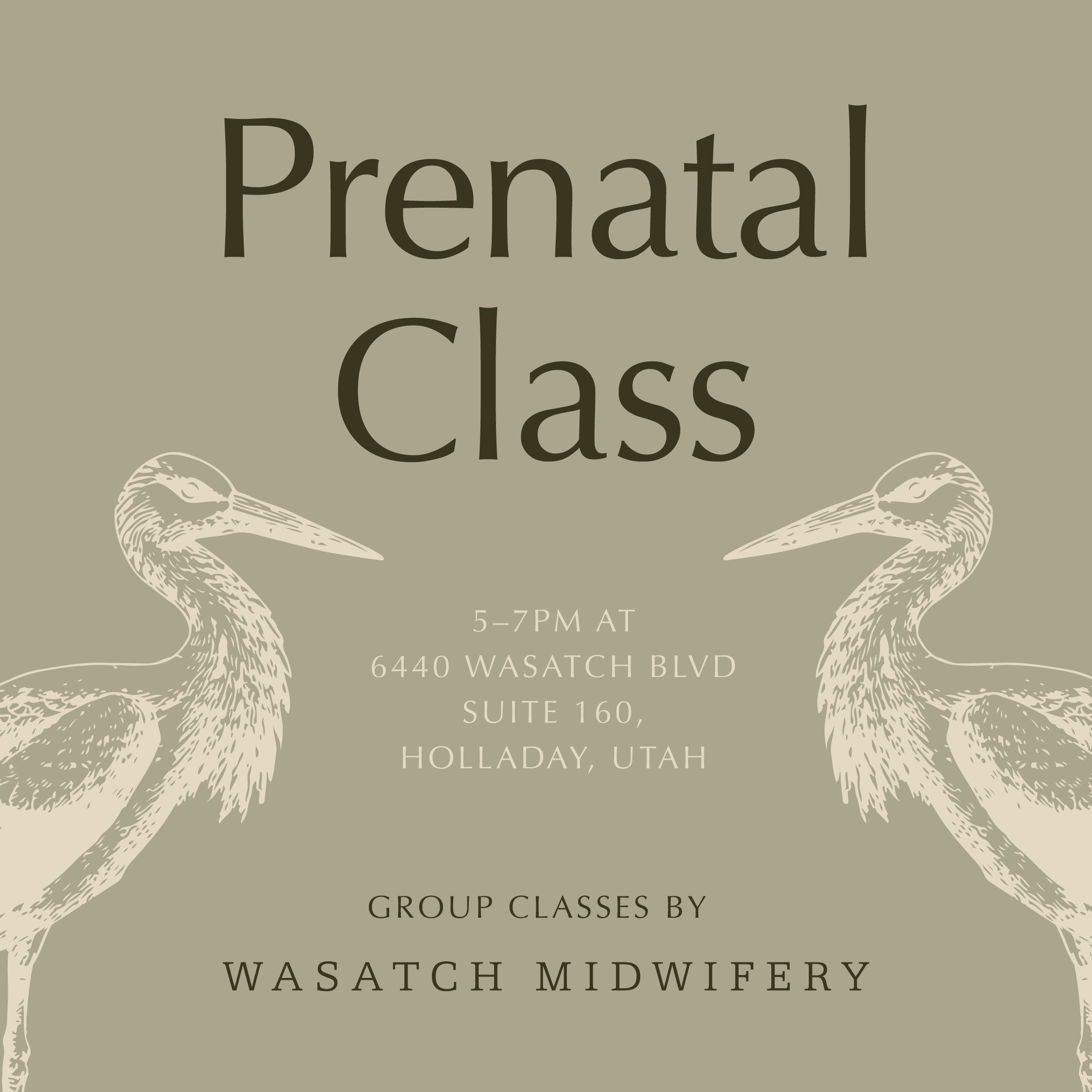 Prenatal Group Class