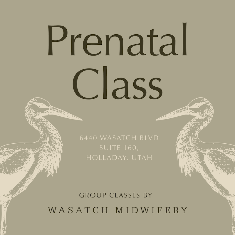 Prenatal Group Class