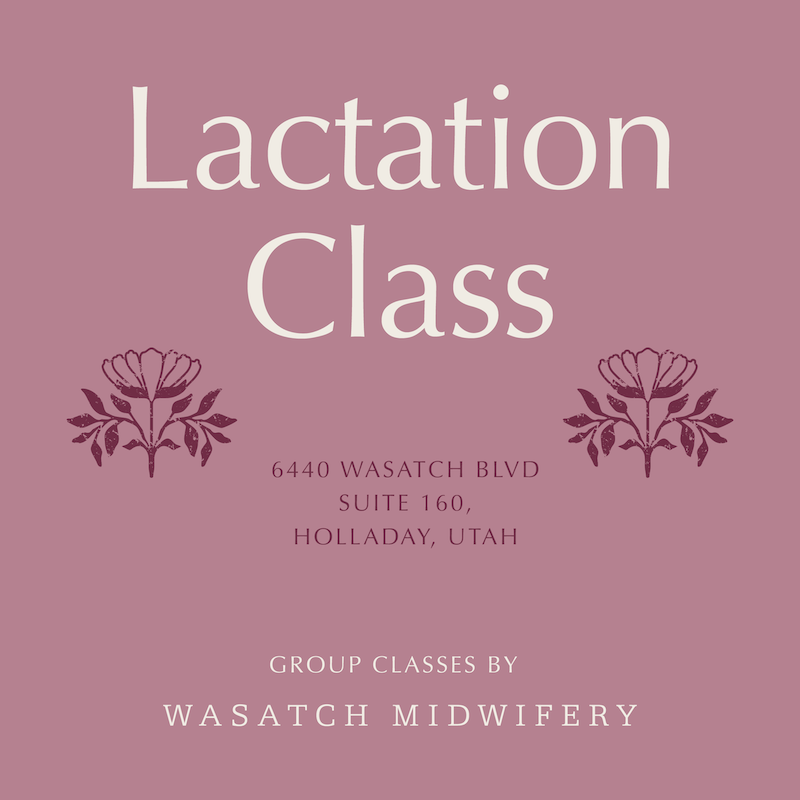 Lactation Group Class