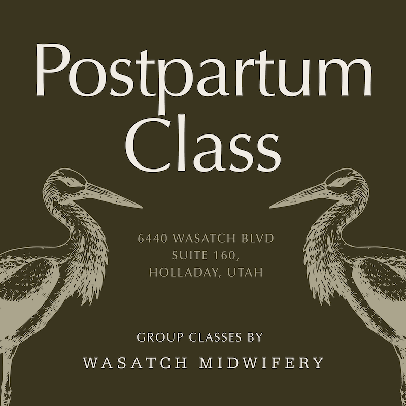 Postpartum Group Class