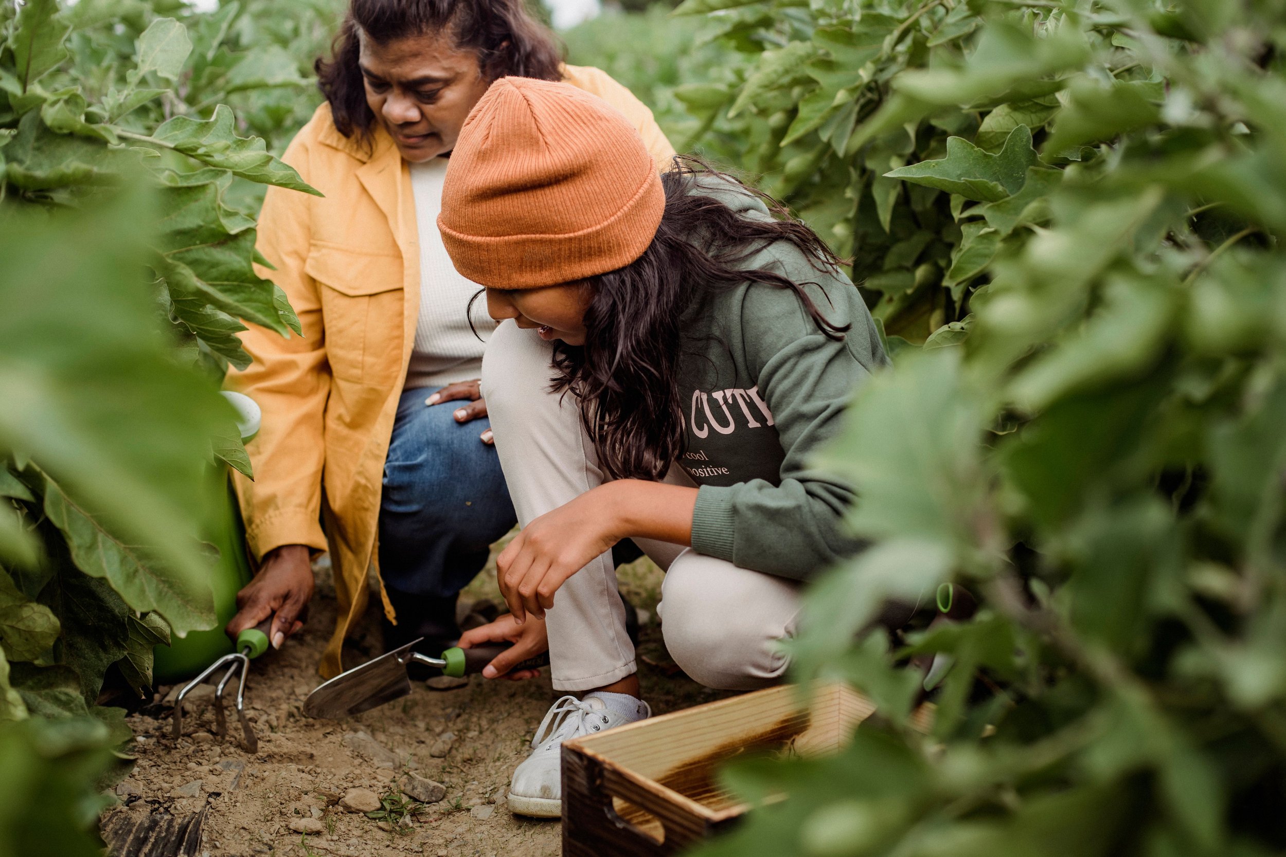 An adult and child crouching together outdoors using hand garden tools to cultivate the soil.