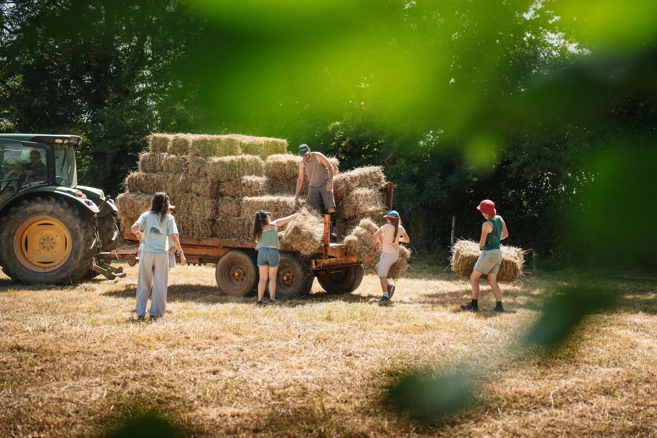 A group of people and family members loading hay bales onto a farm trailer in a sunny field.