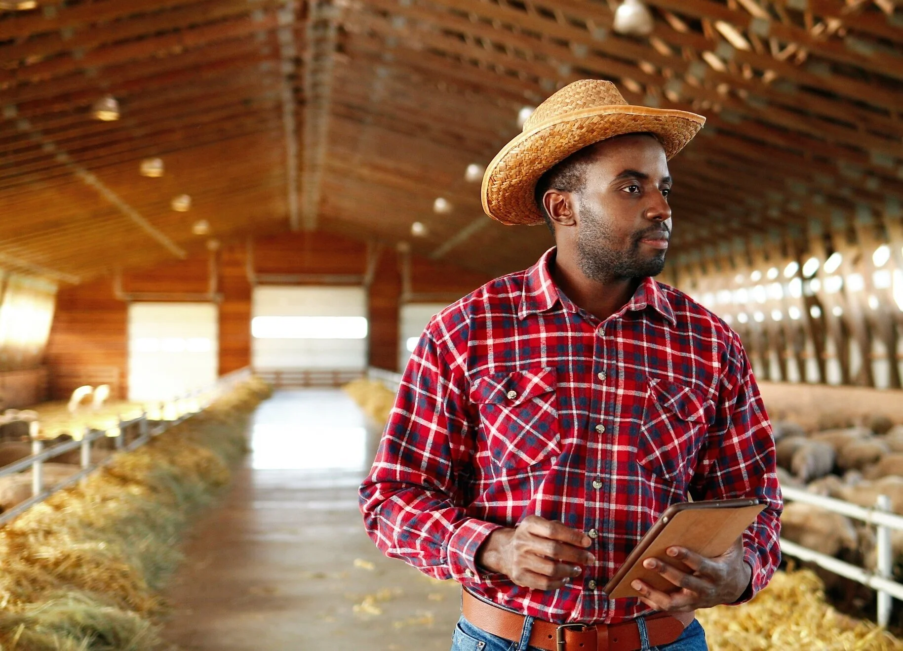 Black Farmers, Potlikker Capital &amp; the Integrator Role that Helps Focus on the Outcomes and Impact We Most Want to Achieve