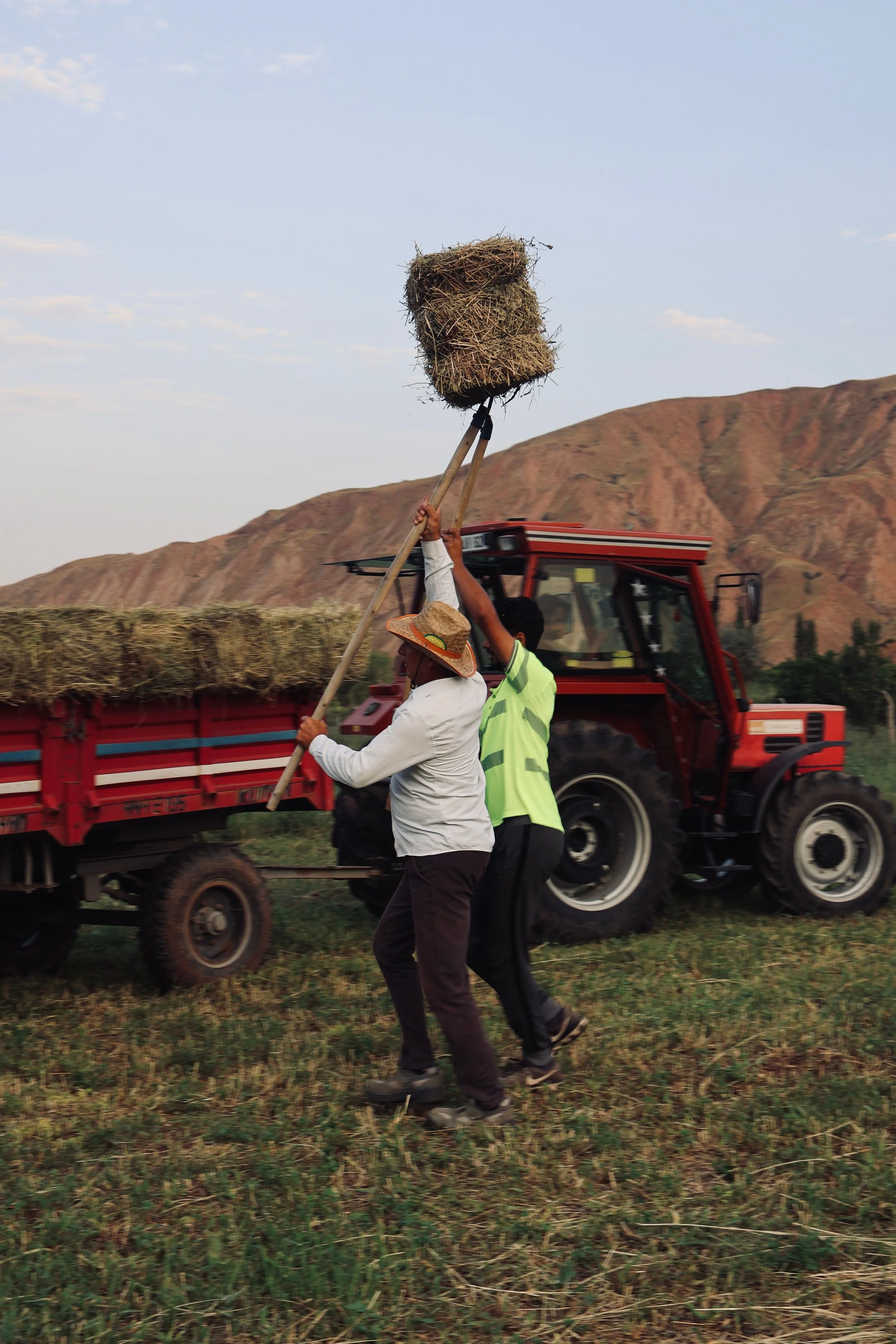 Two farmers working together to load hay onto a tractor in a picturesque valley.