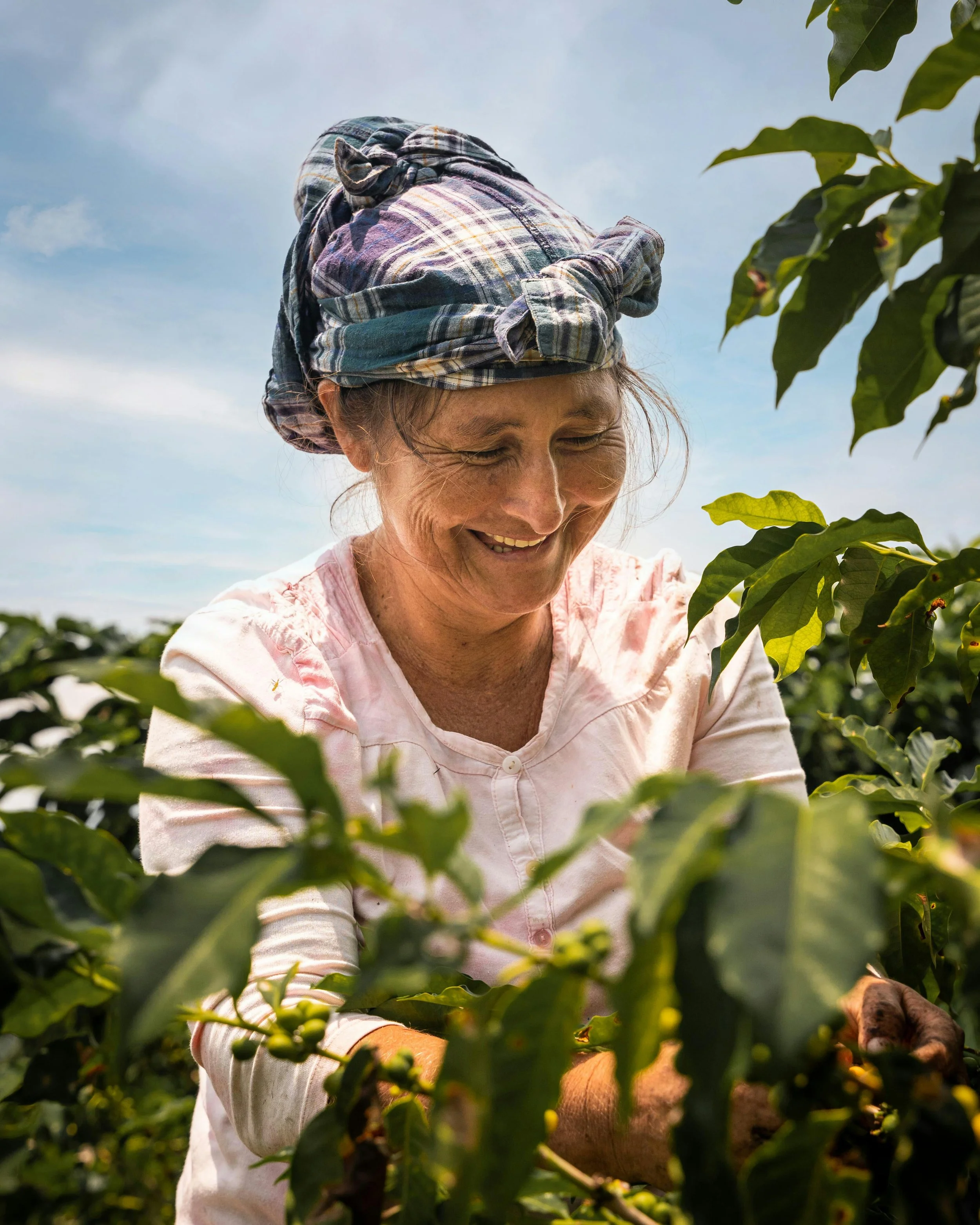 A smiling female agricultural producer tending to coffee plants outdoors.