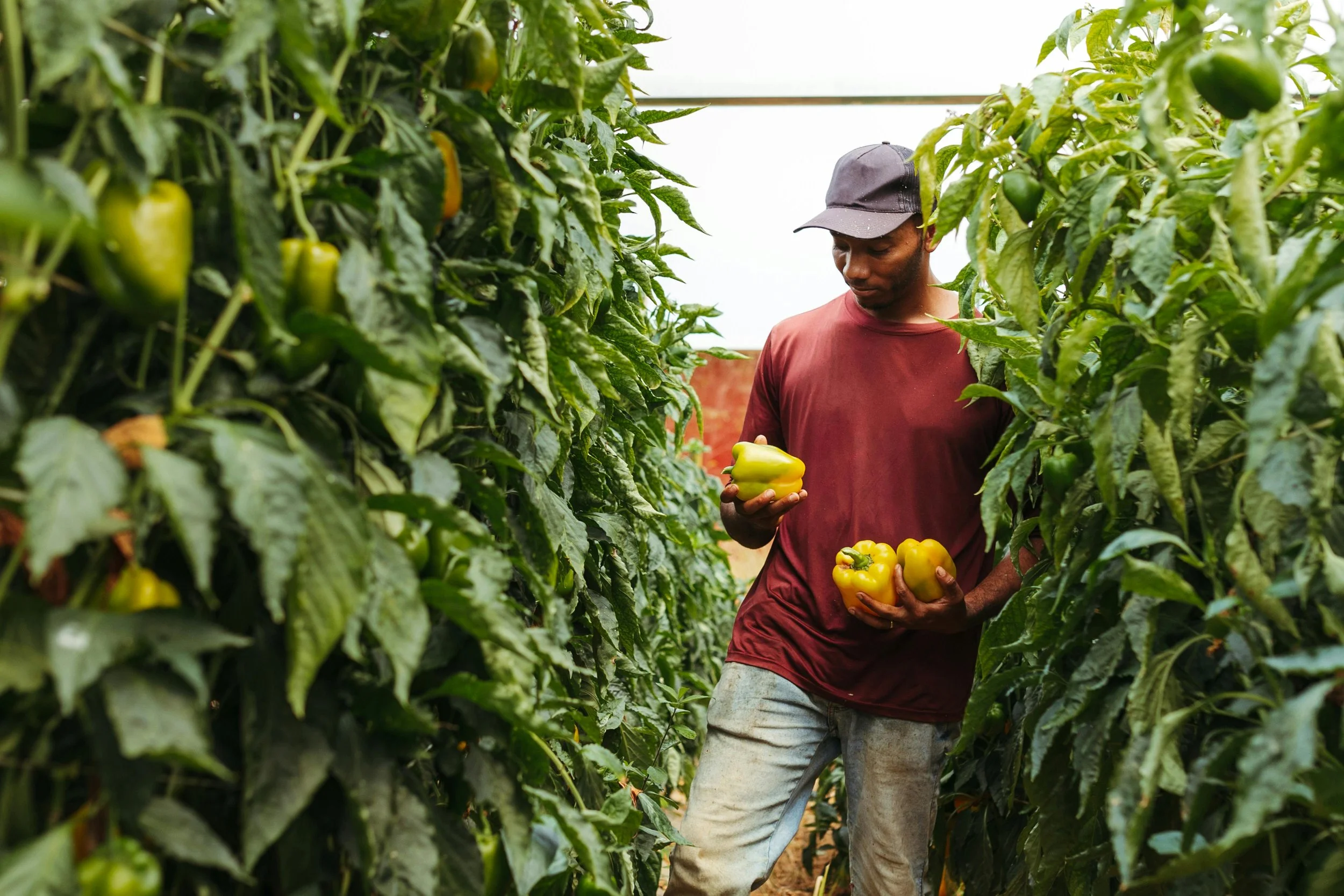 Regenerative Agriculture Investor Network: A Conversation with Konda Mason and Mark Watson