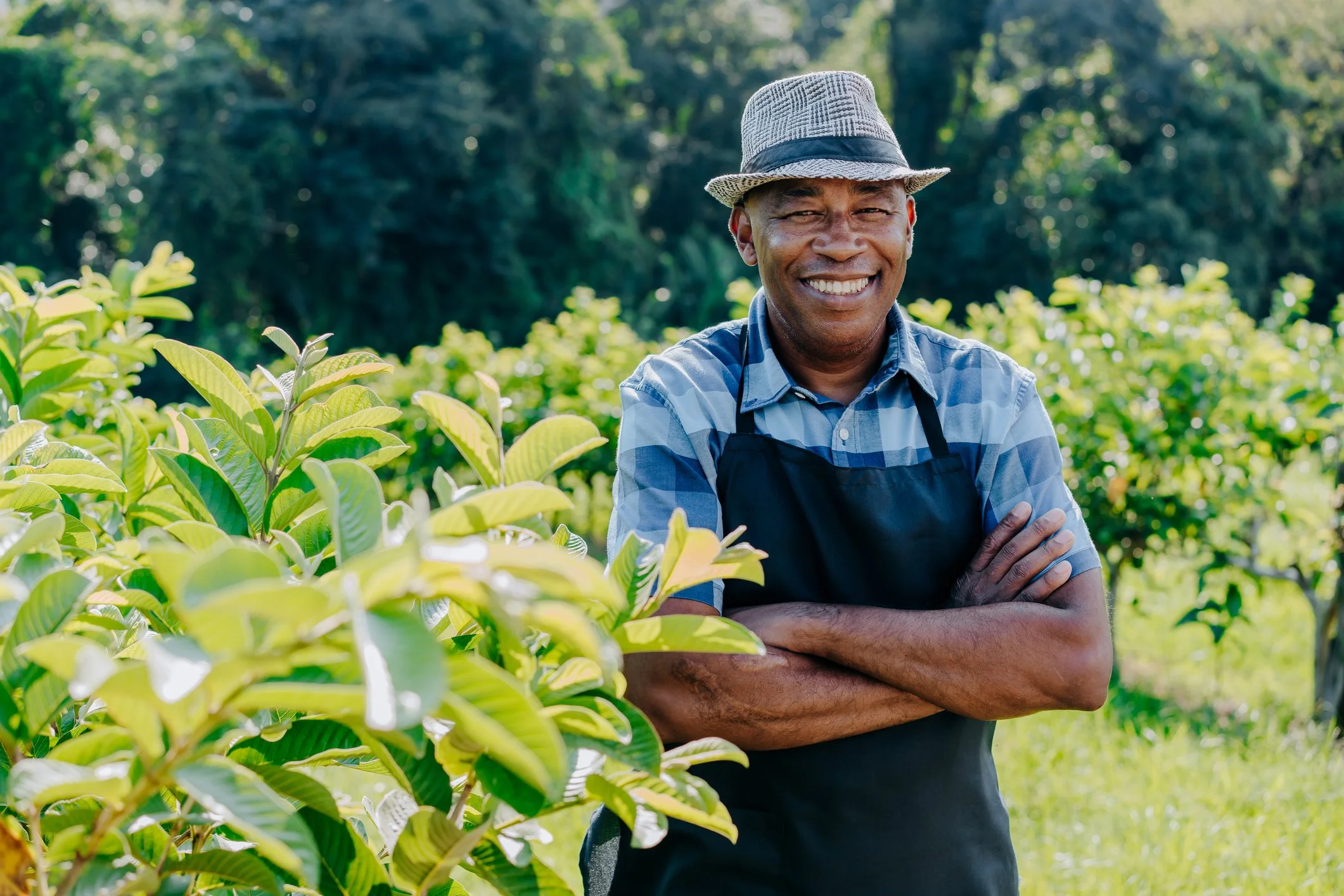 Smiling male farmer wearing a hat and apron standing outdoors in an agricultural field.