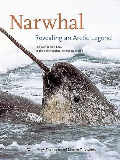 narwhal-videos-photos-illustrations-explore-the-arctic-icon