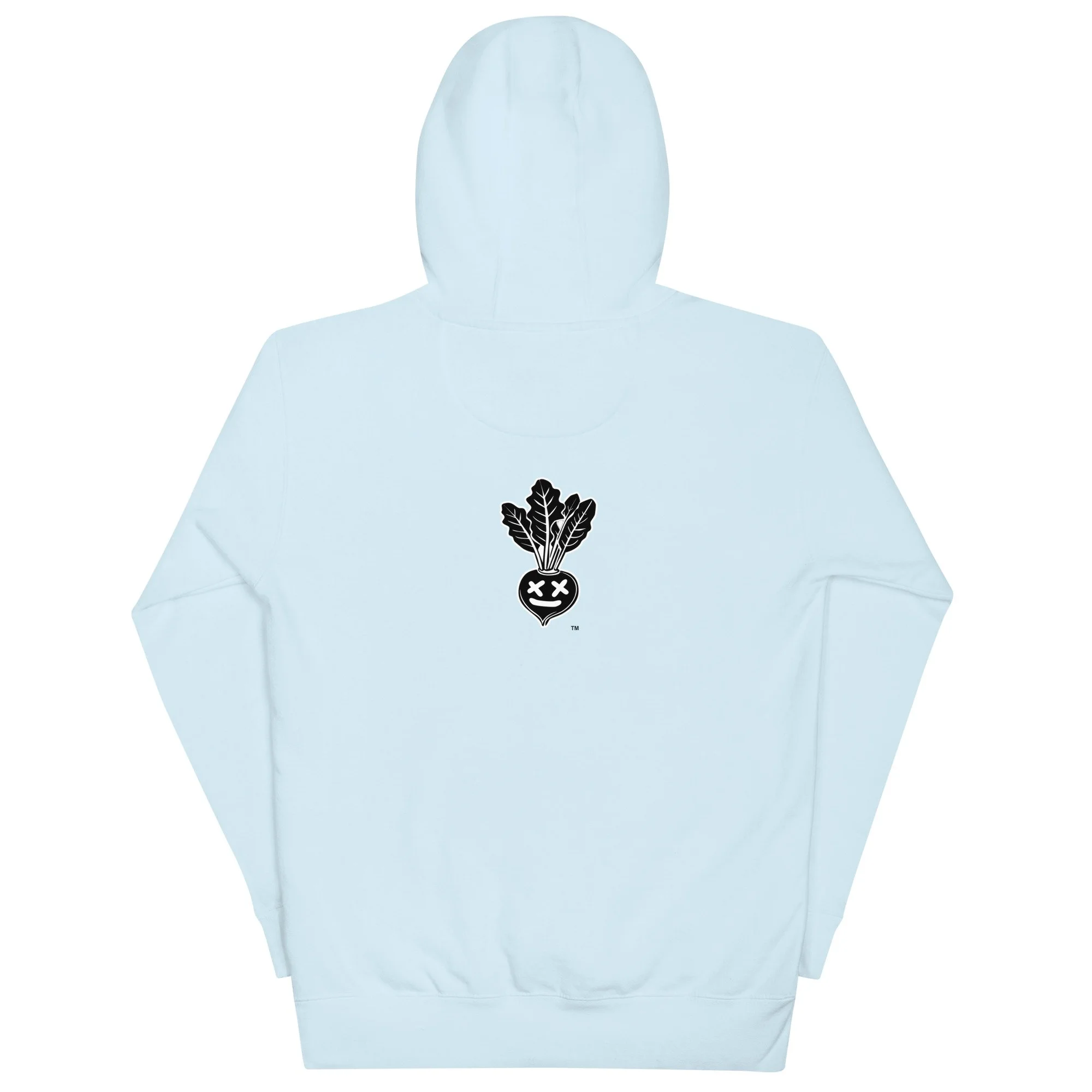 unisex-premium-hoodie-sky-blue-back-677469f577683.jpg
