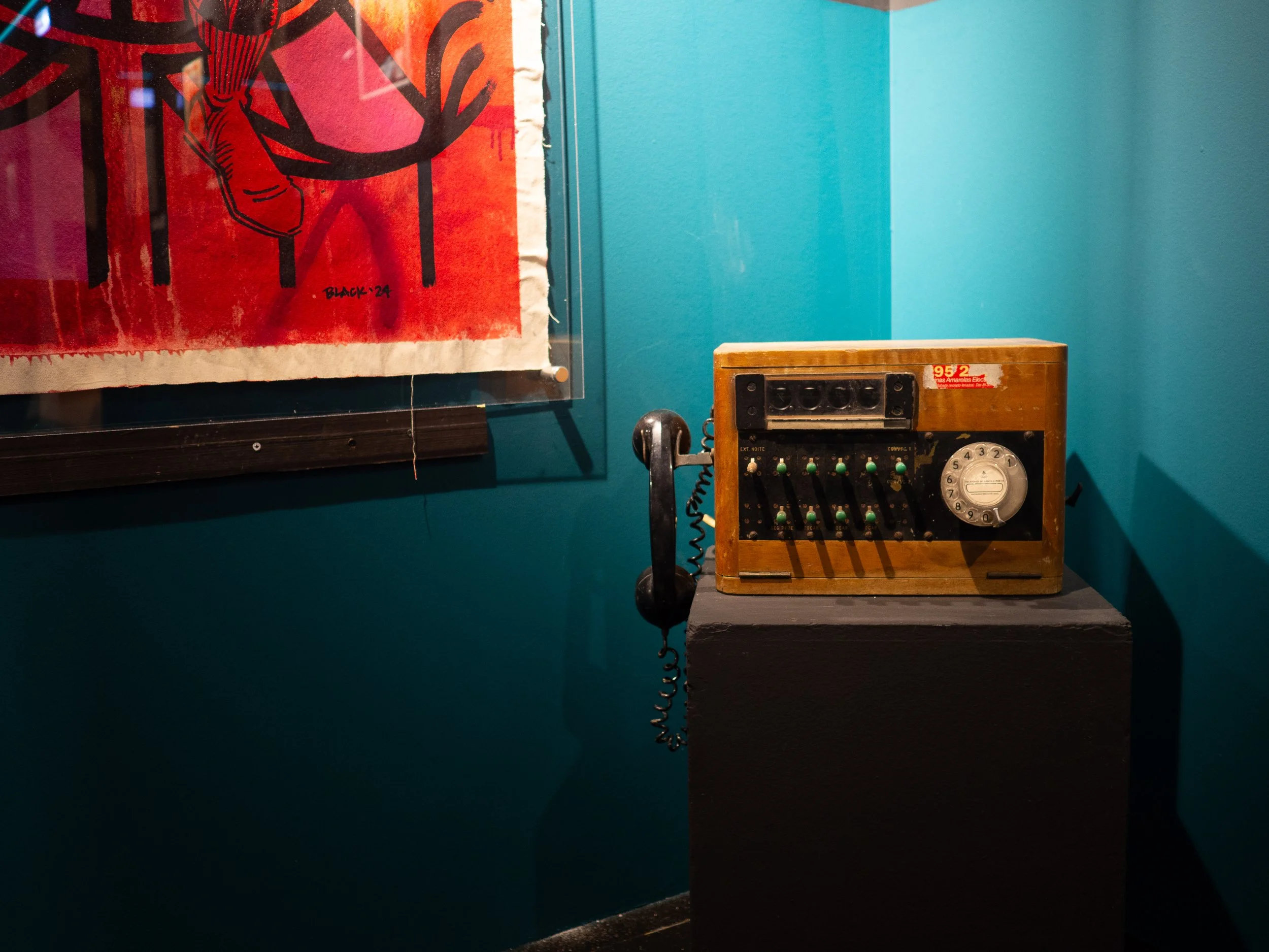 P1011073.jpg