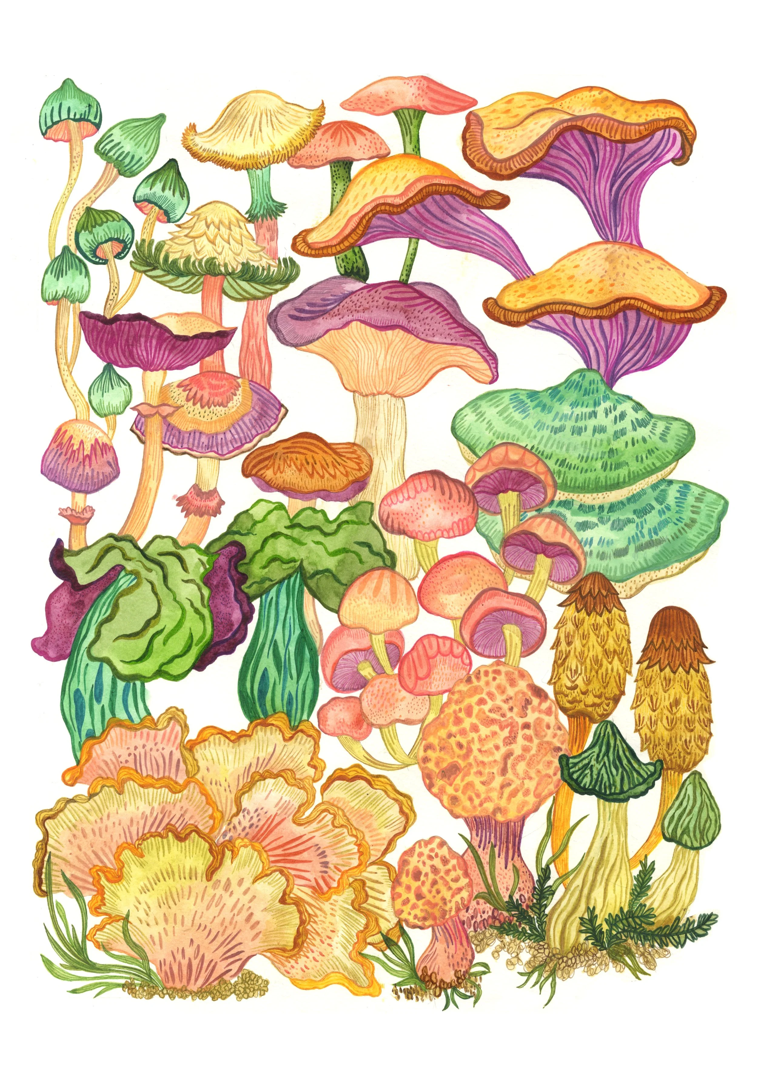 mushroom print 1.jpg