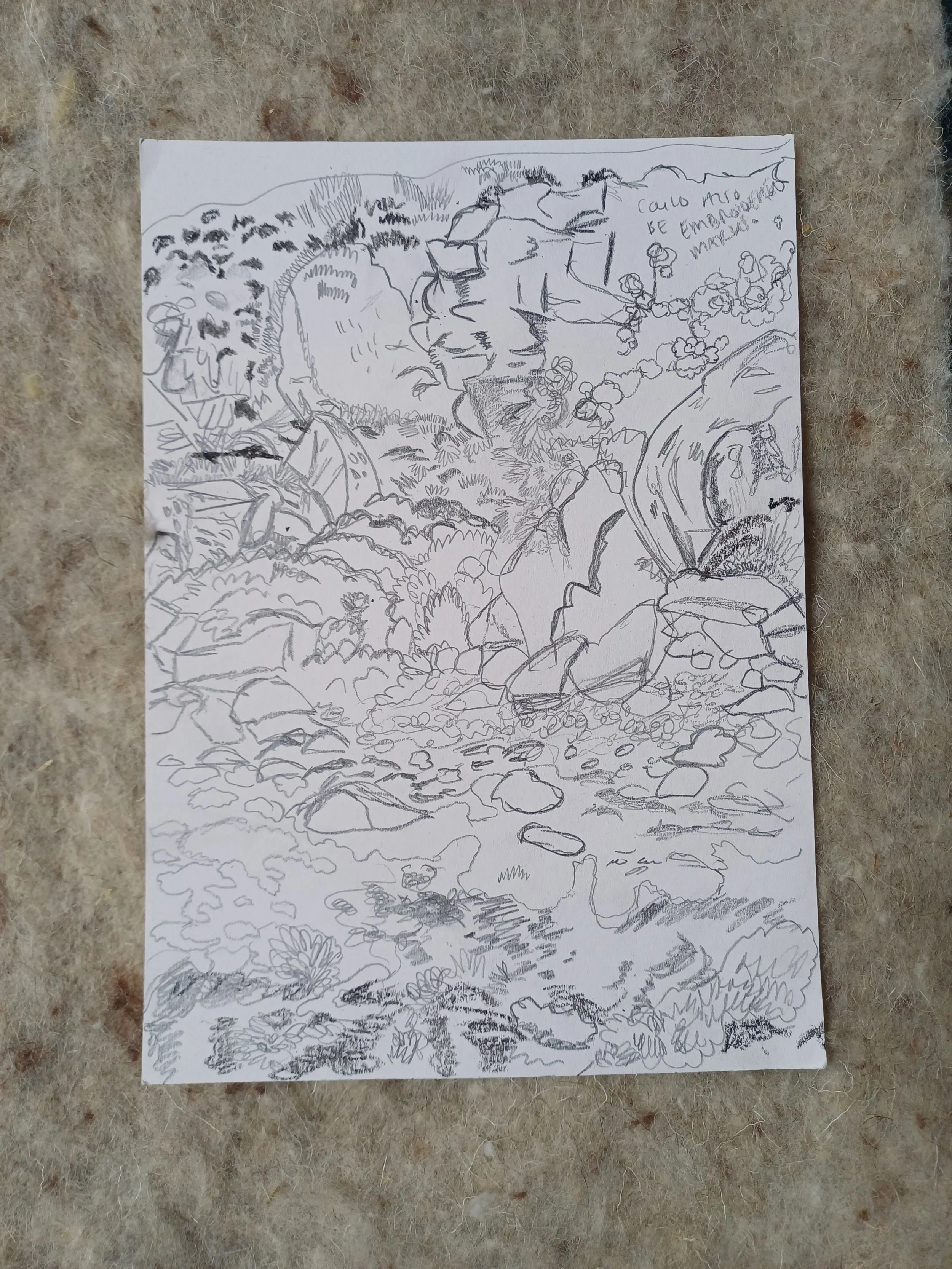 sketches for paintings.jpg