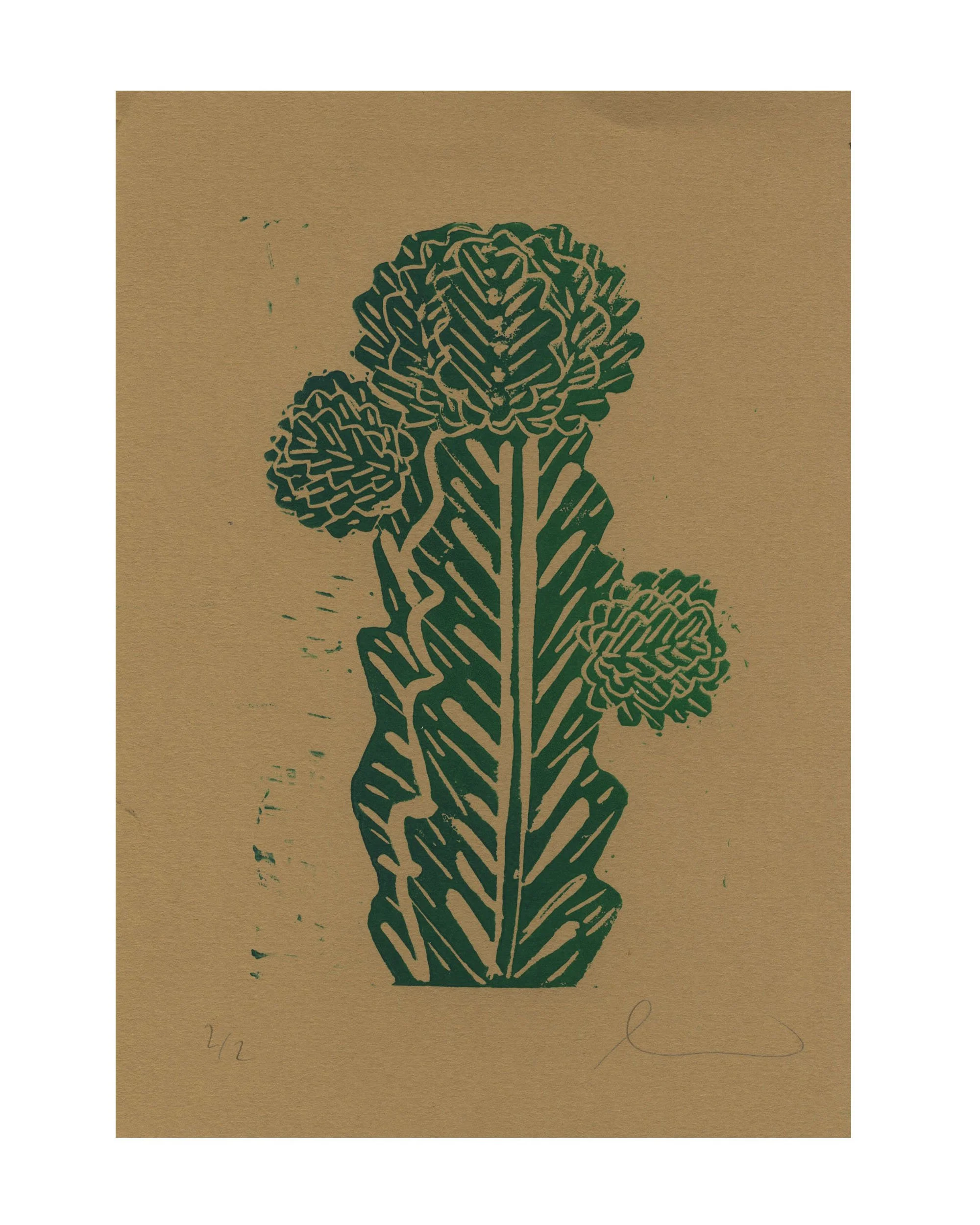 CACTI 1_brown_1.jpg