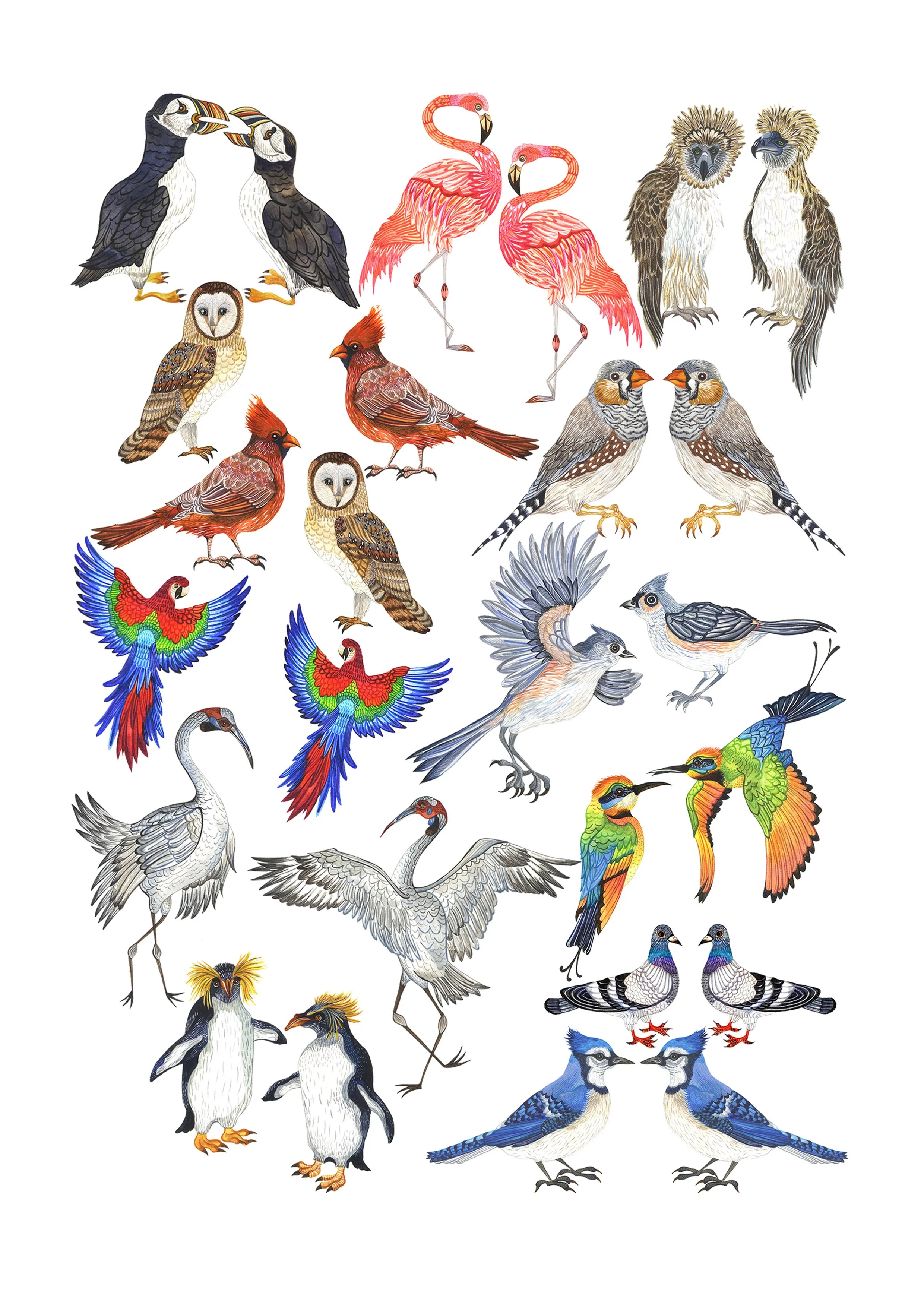 new bird print_A4.jpg