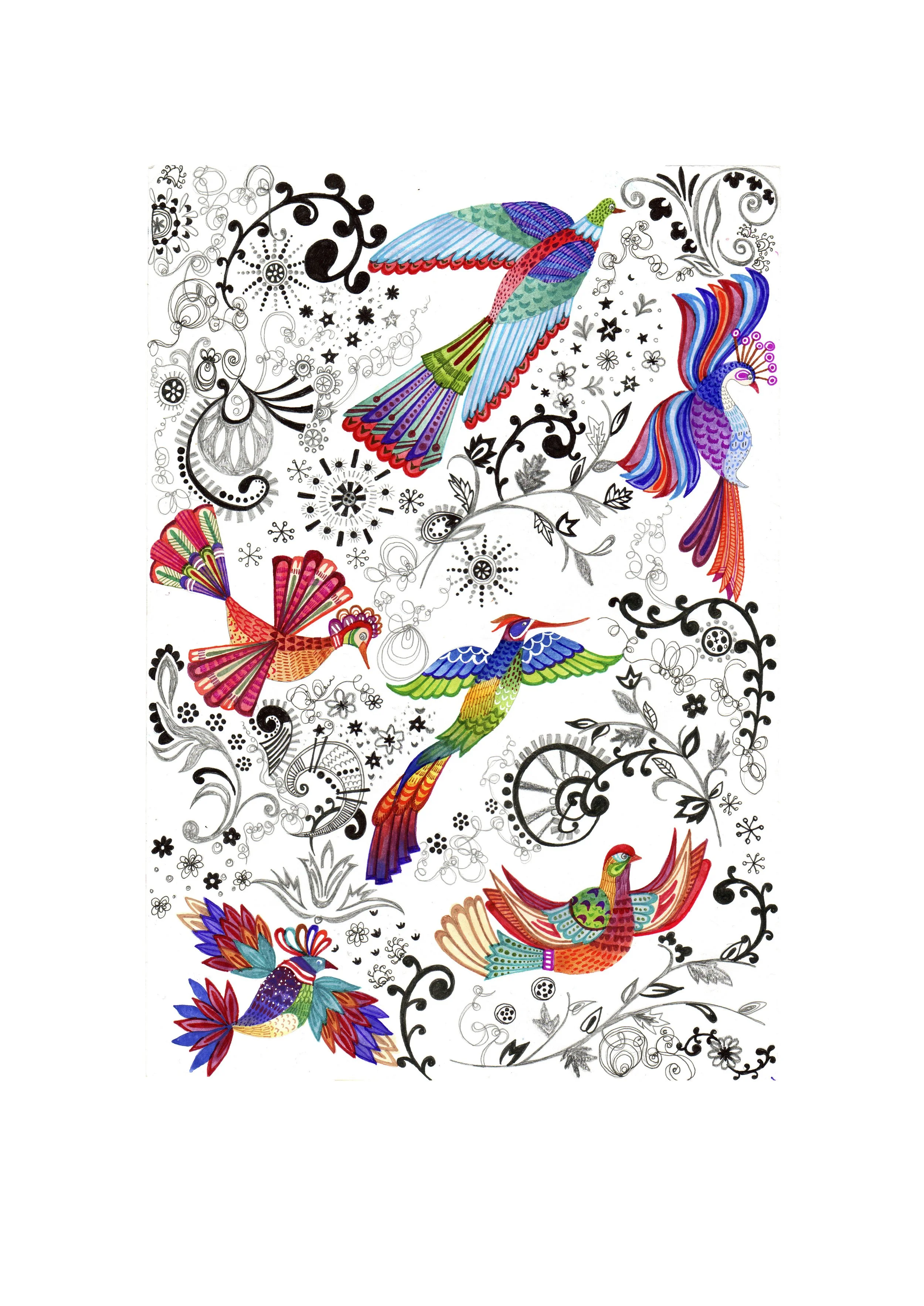 birds_print ready.jpg