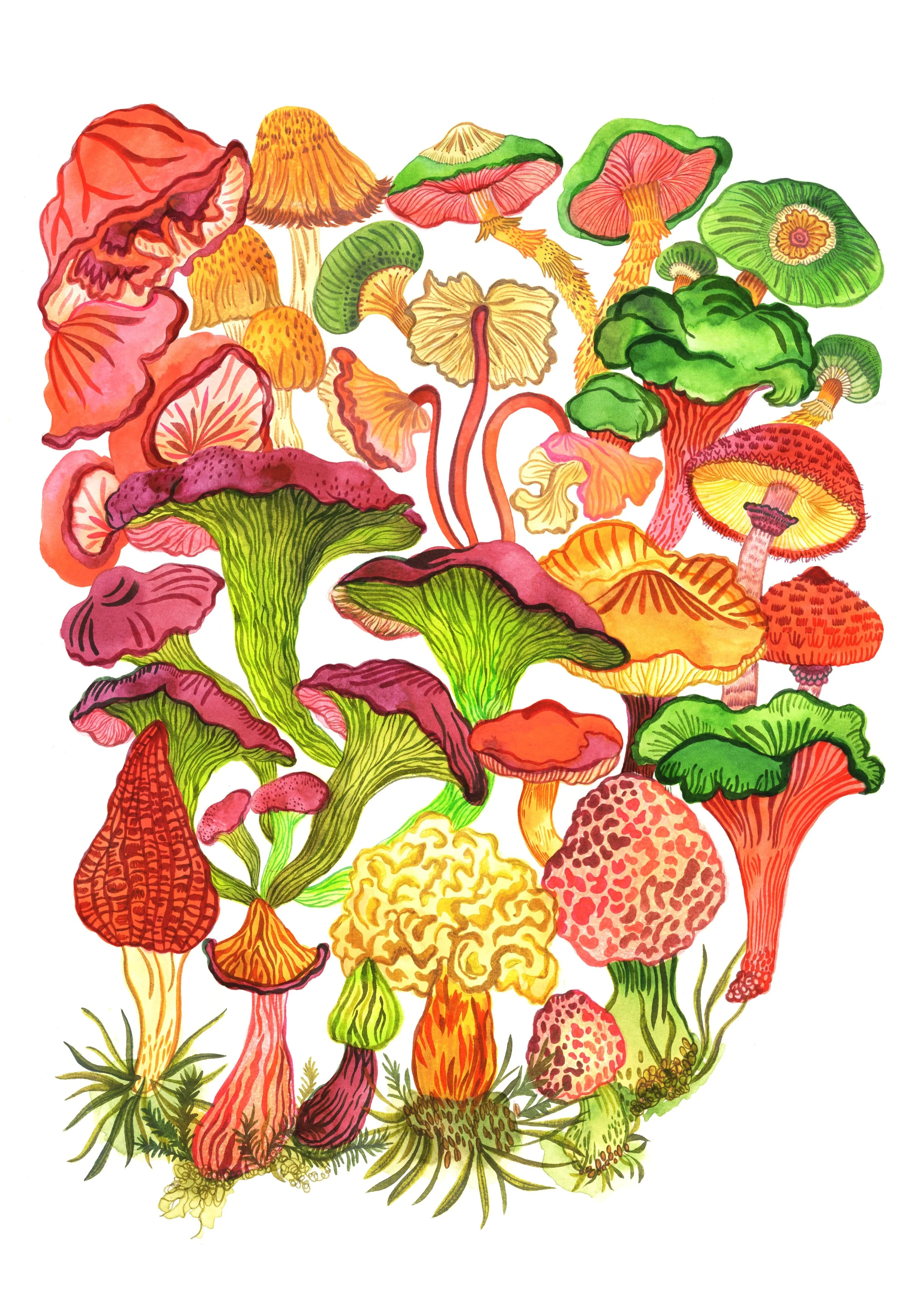 mushroom print 2.jpg