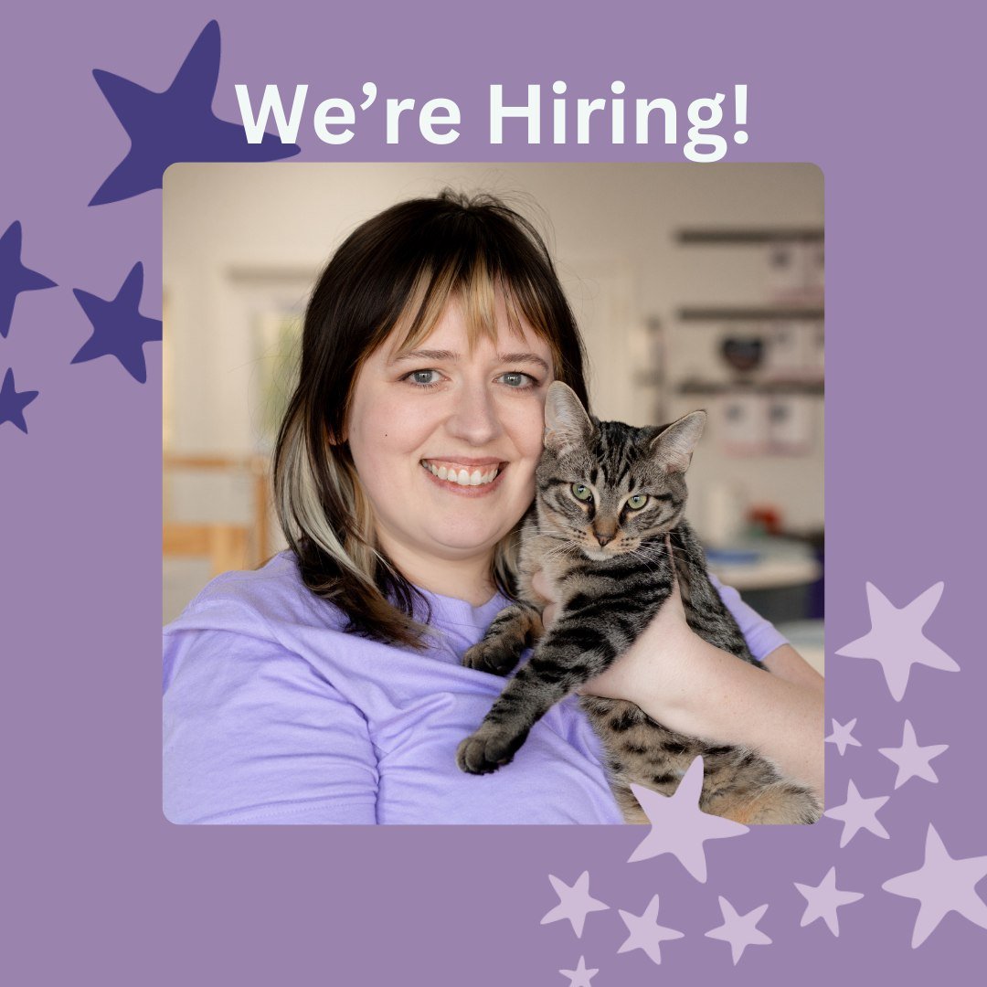 Now hiring a purrista/cat room staff! 🐈&zwj;⬛✨

We are looking for someone who is willing to do a variety of tasks including but not limited to: being a barista (which we affectionately call a purrista), work with the cats and clean the cat room, do