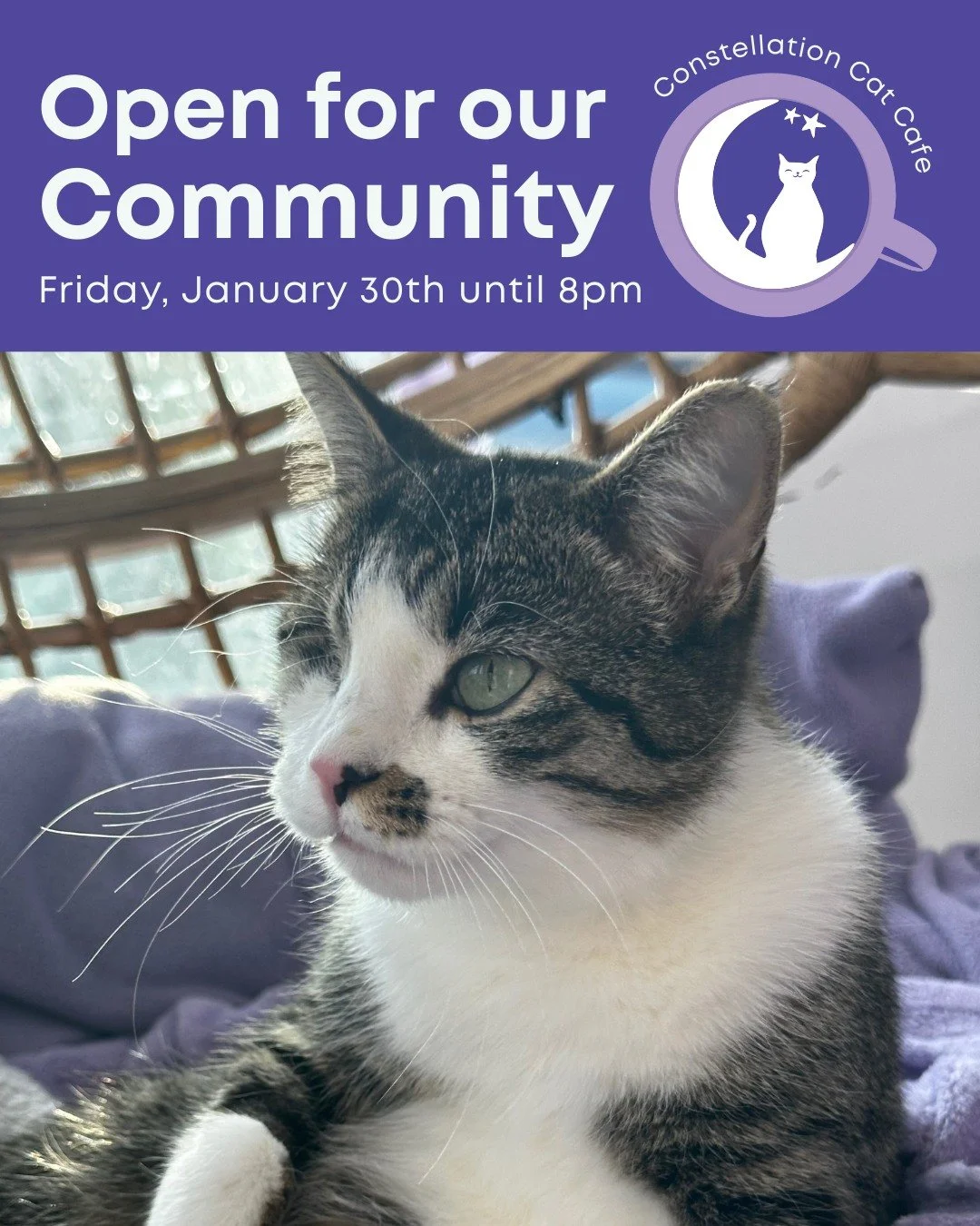 Constellation Cat Cafe has chosen to remain open today so we can continue supporting our staff, our neighbors, and our cats who rely on this space. 

With our recent weather closures and continued cold weather, we want to take every opportunity to wo