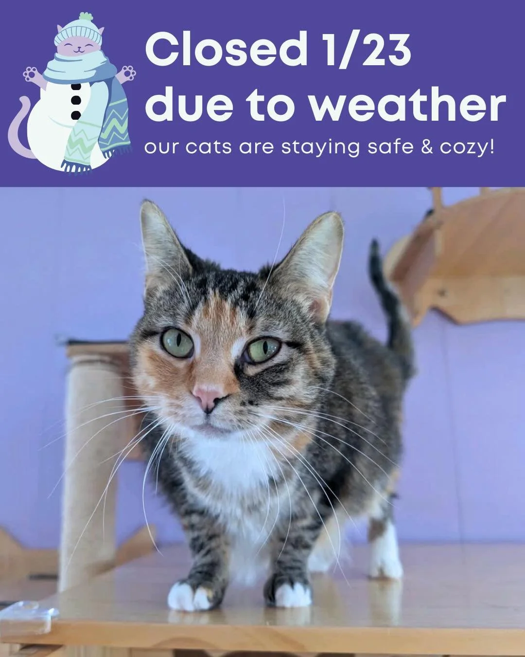 We will be closed Friday, January 23rd due to the weather for the safety of our visitors, volunteers, and employees. 

Dove and the cats are spending the snow day snuggled up and will still be cared for today!