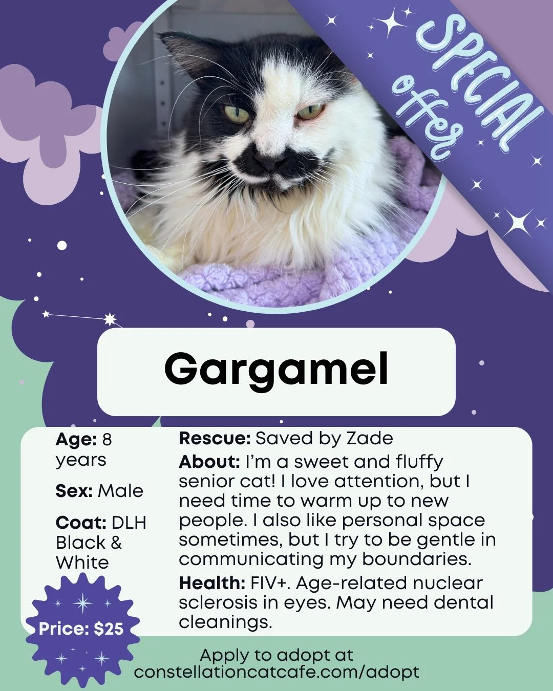 New month, new adoptable faces join the Cat Room. 😺

Meet the first cats available for adoption this February. Visit the 🔗 in bio for more details and booking. 

P.S. Have you met Gargamel yet? 💜 

Thanks to generous sponsor donations, his adoptio