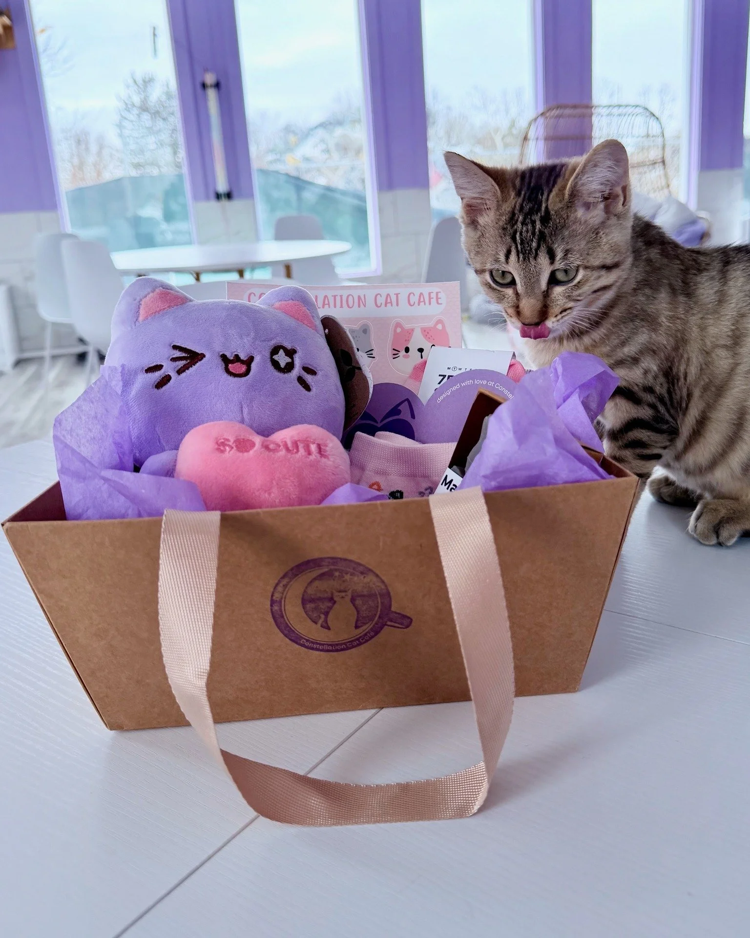 Love is in the air and in the cafe. If you are looking for a Valentine&rsquo;s Day gift for someone special or a little treat for yourself, we have you covered. 💜

Our Valentine&rsquo;s Day Baskets are here. Choose Crafty or Cozy, both styled with h