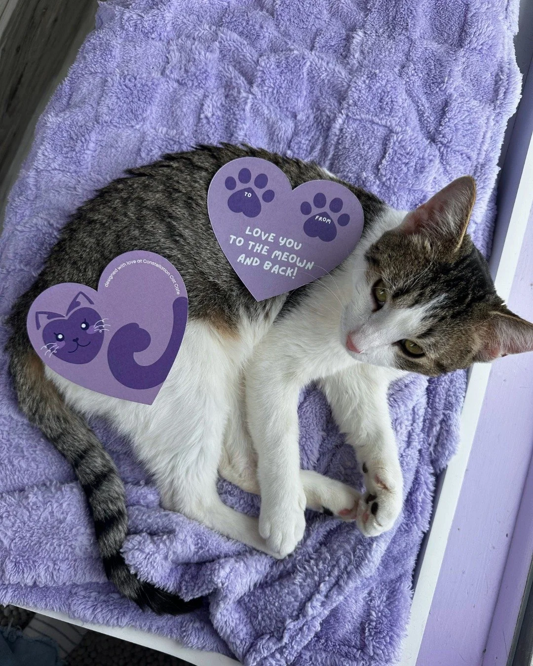 It's National Send a Card to a Friend Day! ✨

Surprise your best friend or that special someone by having Brown Swiss Cow and Sasha send them a sweet message. Add a personalized message and an address to deliver to and we'll will handle the rest.

Ch