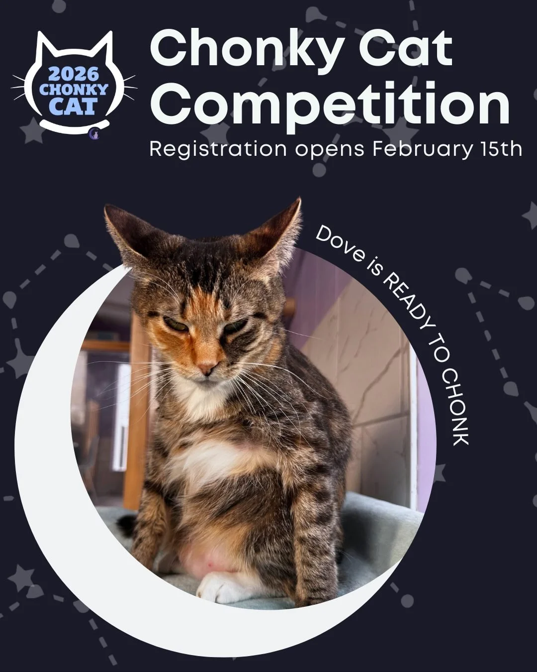 Our 4th Chonky Cat season kicks off this Sunday, February 15th! ✨

You&rsquo;ve got some time before registration opens to start training your favorite &ldquo;Chonk&rdquo; for the competition. Get those biscuit paws baking and big stretches in, and s