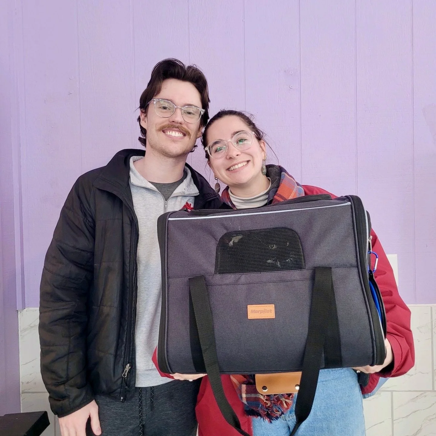 Cupid has been busy at the cafe. 💜

These sweet cats were adopted this week and are settling into their new homes just in time for Valentine&rsquo;s Day.

Congratulations: 

📸: Mint Condition, Janet from Claims, Murphy the Zoomer, Tammy, Bob the Ki