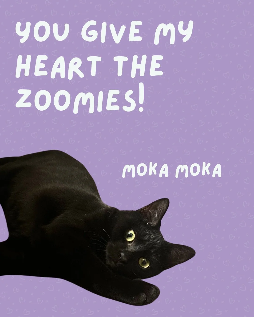Our cats have some Meowentines for you! 💜

These pawsome kitties are all available to adopt. Visit the 🔗 in our bio to fill out an application.