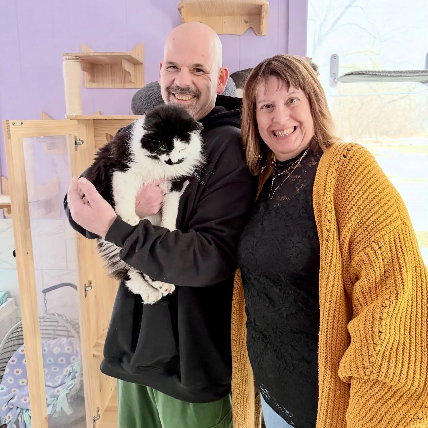 Gargamel has been staying at the cafe since the end of October. A big fluffy black and white gentleman who preferred the comfort of his wooden enclosure, he let the room come to him as he waited for the right person to see him. 

Seeing him wander ar