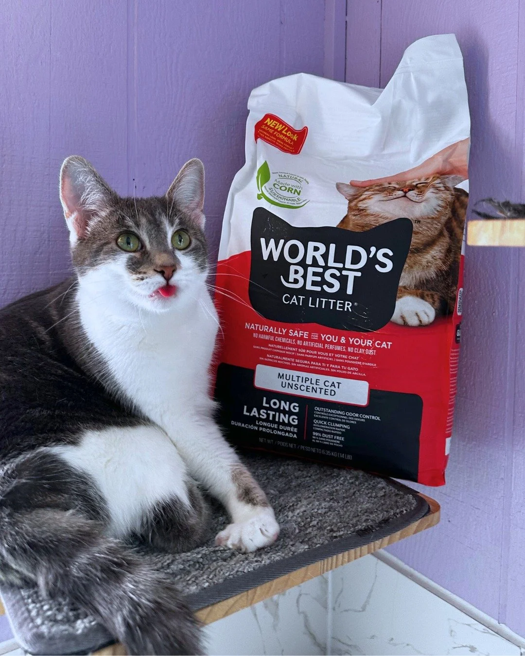 Looking for the purrfect match that keeps floors clean, is environmentally conscious, and wants the best for your cat? 

If so, Raven and Josie recommend @worldsbestcatlitter! Both of these sweet girls love that the  #GiveLitter program supplies our 