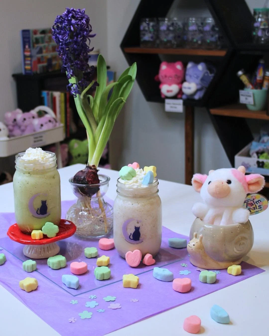 Some lucky  Meowshakes are back on the menu for all of March!

🍀  Lucky Charms Meowshake with vanilla ice cream and lucky charms cereal topped with colorful marshmallows. 

🍀 Clover Kitty Meowshake with vanilla icecream and our CCC-Crafted vanilla 