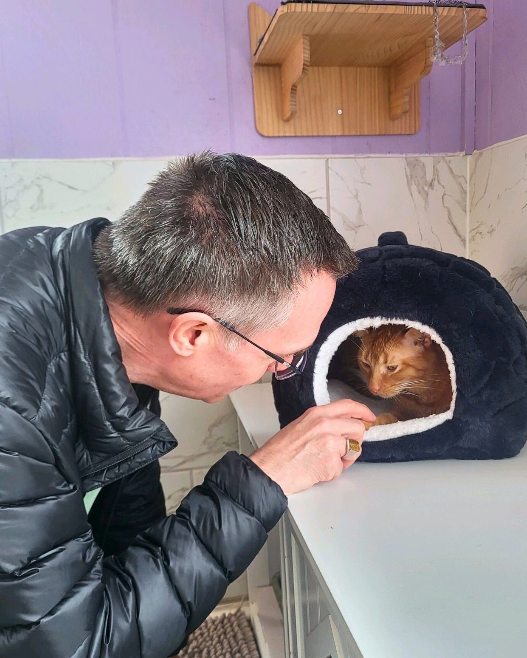 Some sweet kitties found their special someone this week! 🐱

Congratulations:

📸: Sunrise, Purple Squish, and Sasha

Not Pictured: Sprinkles, Shoyu, Truffle, and Raisin Deer

Adoptions #2888-#2894.

We love updates. Tag the cafe or share them in ou