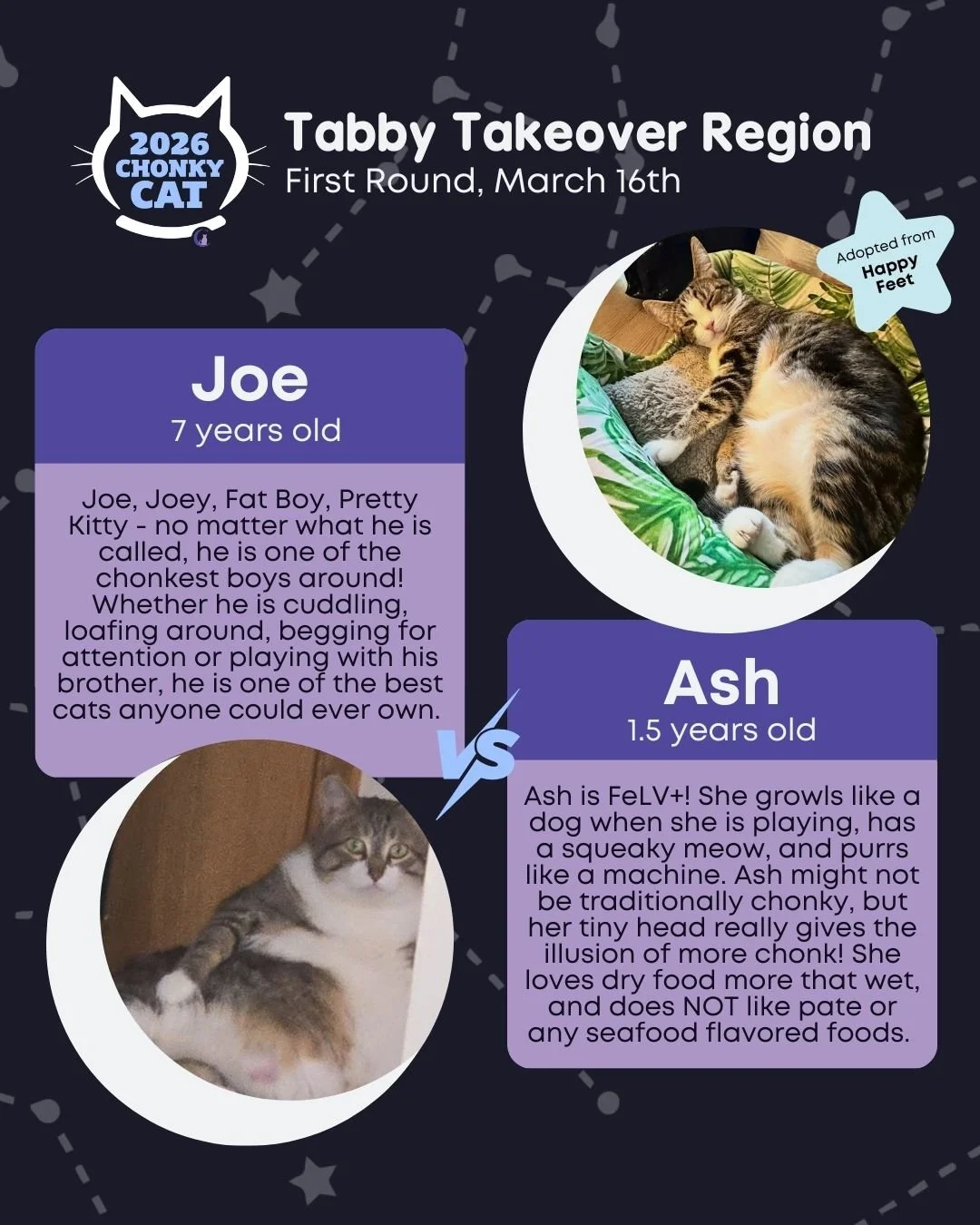 We're kicking off the first round of head-to-head matches for our 2026 Chonky Cat Official Bracket! May the luckiest cat advance on☘

Today's matches are:
⭐ Joe vs. Ash
⭐ Moose vs. Louise
⭐ Joey vs. Rusty
⭐ Steve vs. Halo
⭐ Walter vs. Gary D.
⭐ Revna