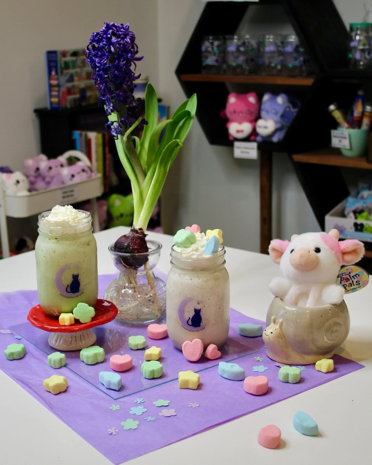 St. Patrick&rsquo;s Day calls for something lucky. 🍀

These March-only meowshakes are here for a limited time, so don&rsquo;t miss your chance to try them.

⭐️ Clover Kitty with vanilla ice cream and CCC crafted peppermint syrup.

⭐️ Lucky Charms wi