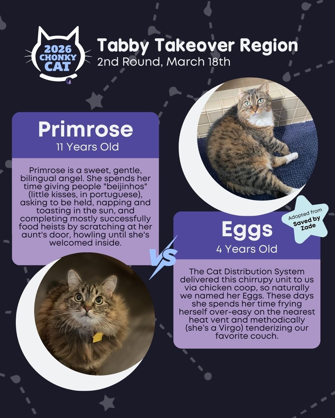 Don't miss out on Round 2 of our 4th Annual Chonky Cat Bracket! Voting ends on Thursday, March 19th at 10AM. Read below on how to get your votes submitted.

Today's matches are:
⭐ Primrose vs. Eggs
⭐ Malachite vs. Hawk
⭐ Smore vs. Yoda &amp; Snips
⭐ 