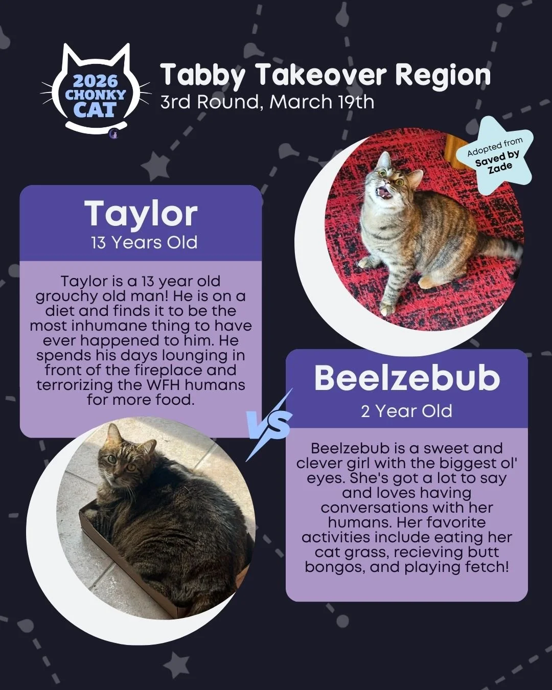 It's Round 3 of our Chonky Cat Bracket and only getting cuter... Voting ends on Friday, March 20th at 10AM! Read below on how to get your votes submitted.

Today's matches are:
⭐ Taylor vs. Beelzebub
⭐ Poppy vs. Just Ken
⭐ Buzz vs. Cheese
⭐ Esker vs.
