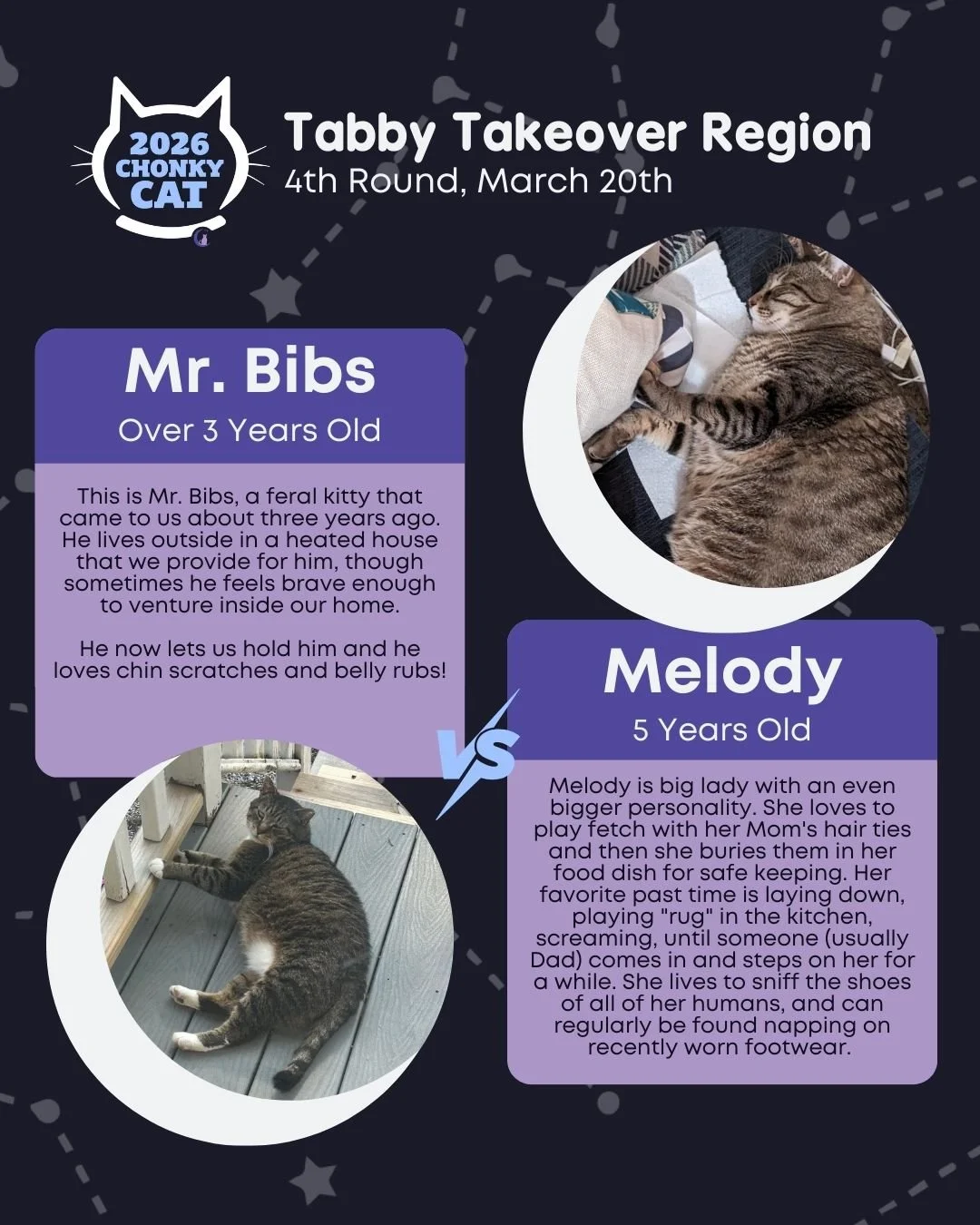 Round 4 of Chonky Cat just dropped, who are you voting for? Voting ends on Saturday, March 21st at 10AM! Read below on how to get your votes submitted.

Today's matches are:
⭐ Mr. Bibs vs. Melody
⭐ Buford vs. Merrin
⭐ Edgar vs. Archie
⭐ Vader vs. Ruf