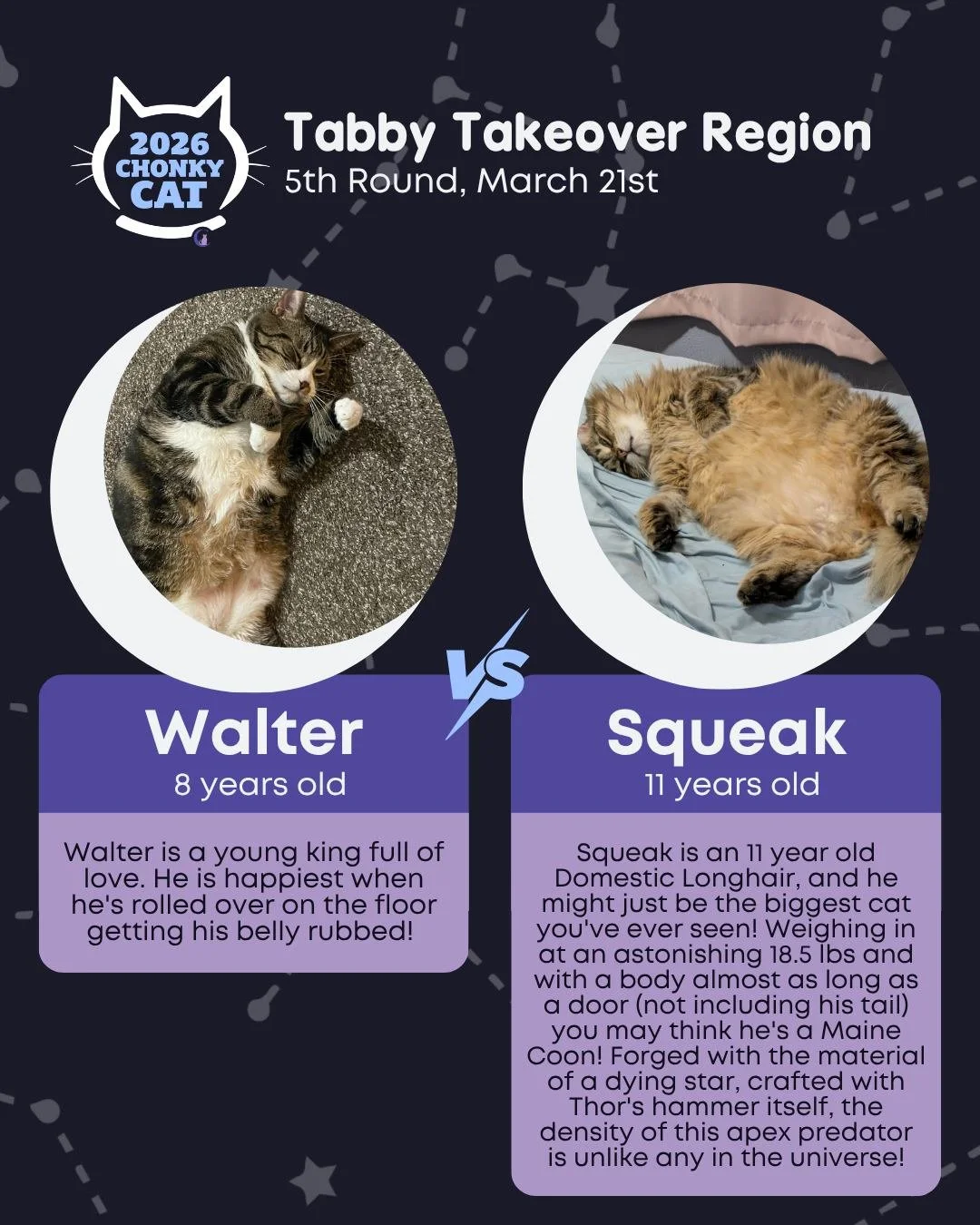 We're kicking off the weekend with Round 5 of our Chonky Cat Bracket! Voting ends on Sunday, March 22nd at 10AM! Read below on how to get your votes submitted.

Today's matches are:
⭐ Walter vs. Squeak
⭐ Tao vs. Skye
⭐ Marvin vs. Moo
⭐ Fat Man vs. Fl
