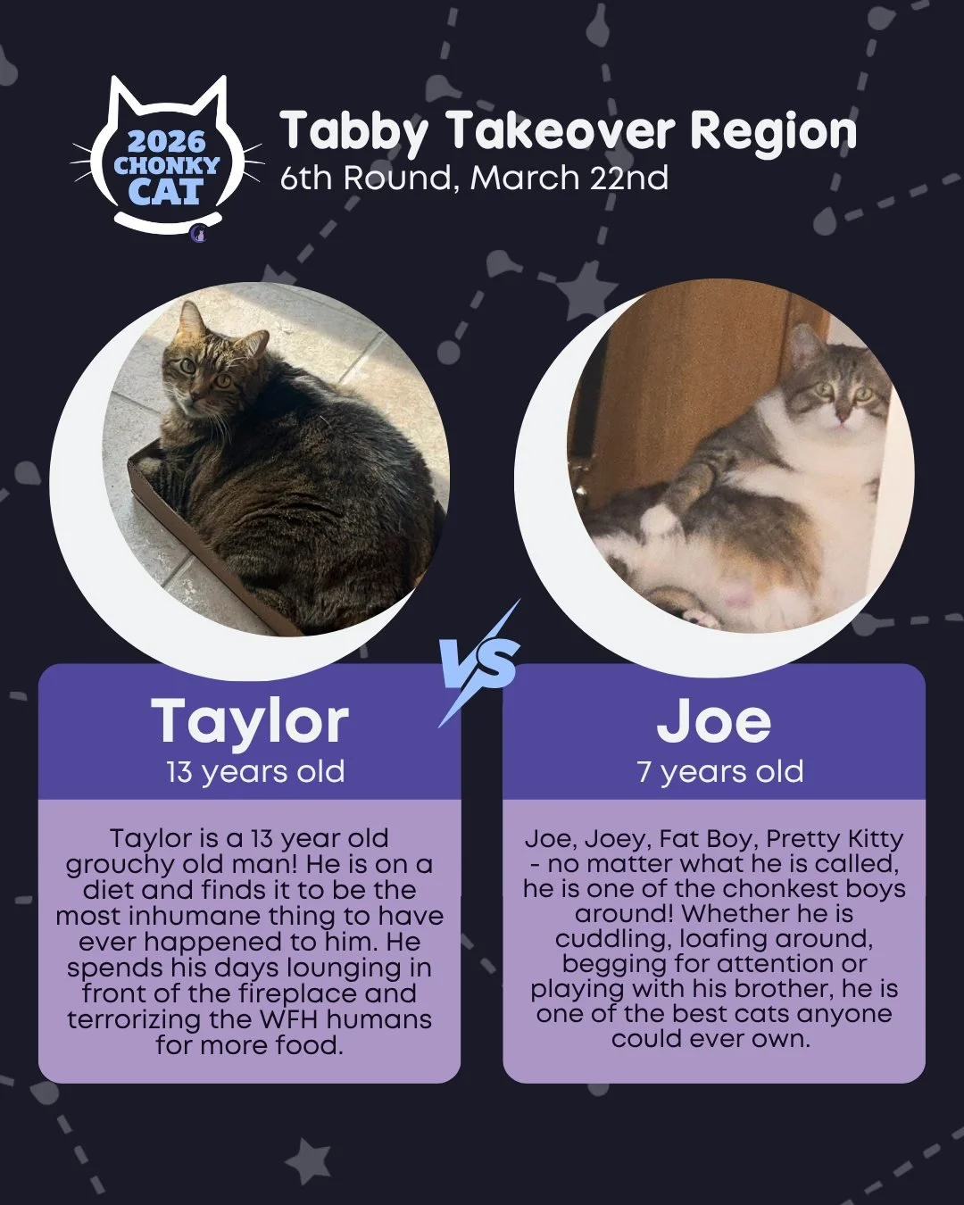 It's Round 6 of our Chonky Cat, which squishy face are you voting for? Voting ends on Monday, March 23rd at 10AM! Read below on how to get your votes submitted.

Today's matches are:
⭐ Taylor vs. Joe
⭐ Poppy vs. Moose
⭐ Rusty vs. Cheese
⭐ Esker vs. S