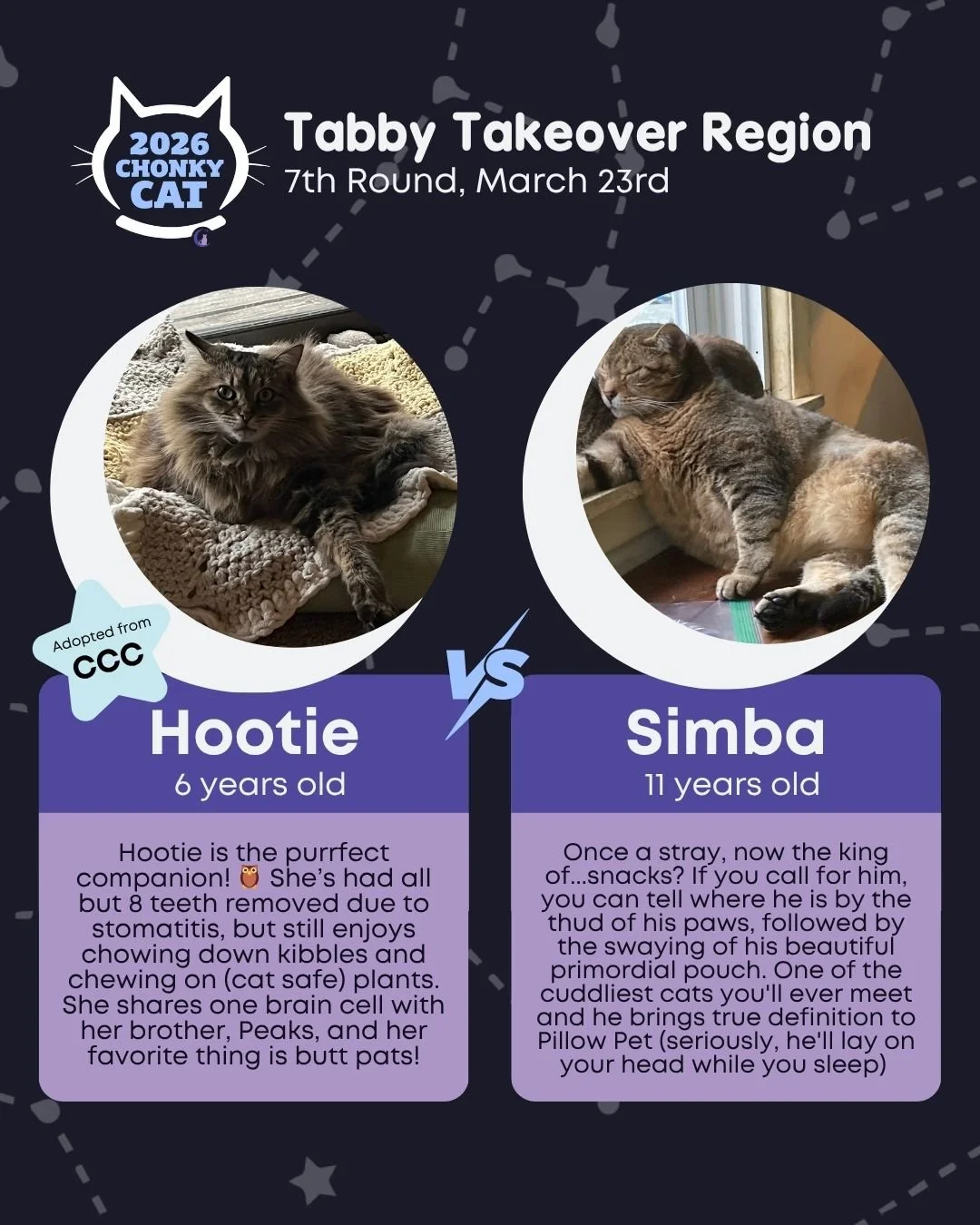 As we're narrowing down, competition is only getting tougher.. and cuter! Voting ends on Tuesday, March 24th at 10AM! Heads up - no rounds will be posted on Wednesday, March 25th as we prepare for our Sweet Sixteen. Read below on how to get your vote