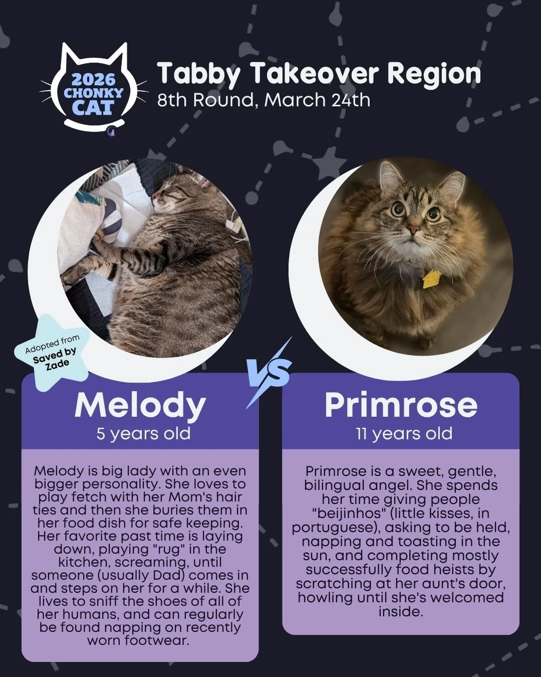 Final round before a Chonky Cat break on Wednesday, March 25th as we prepare for our Sweet Sixteen. Voting this round ends on Wednesday, March 25th at 10AM! Read below on how to get your votes submitted.

Today's matches are:
⭐ Melody vs. Primrose
⭐ 